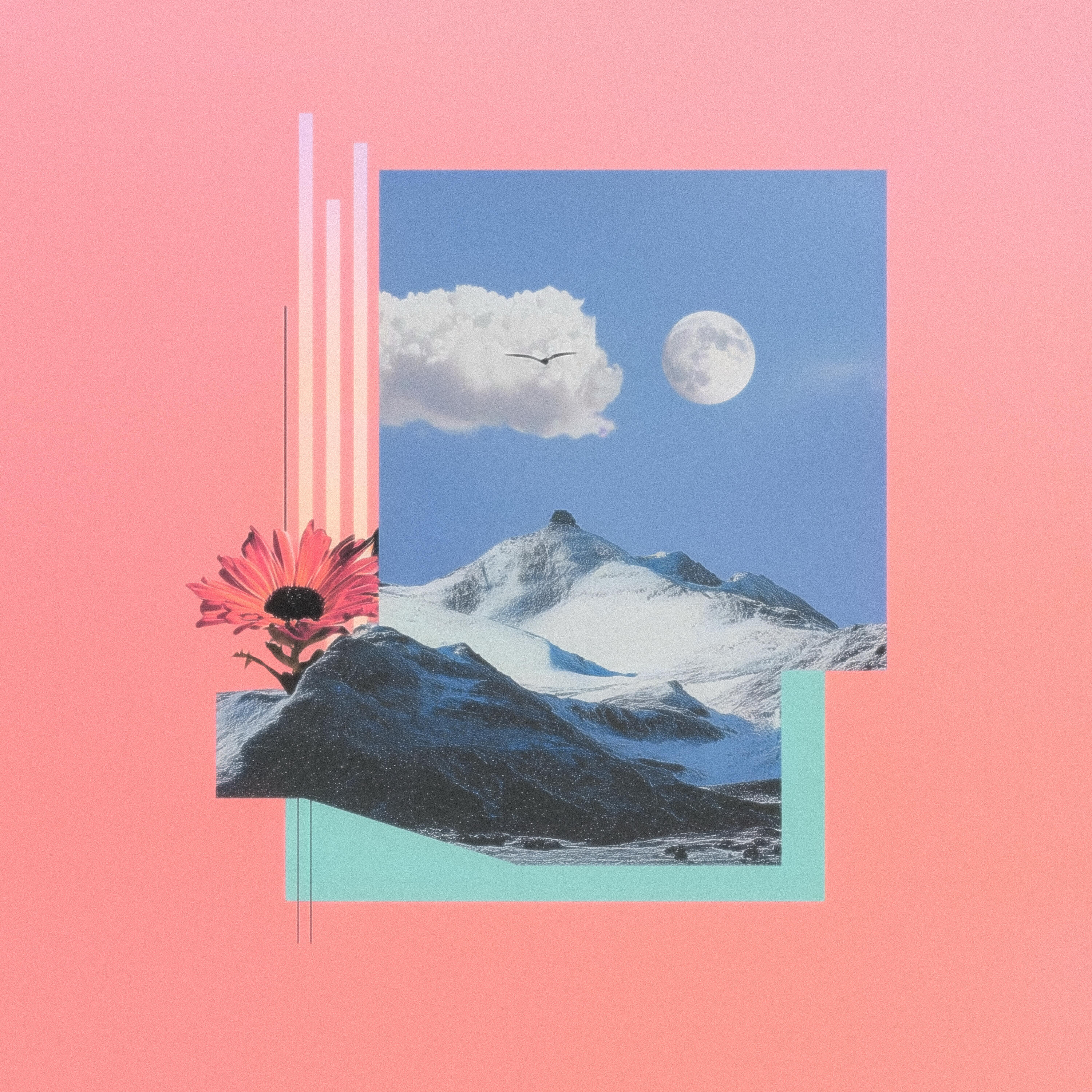 Релиз Take My Love