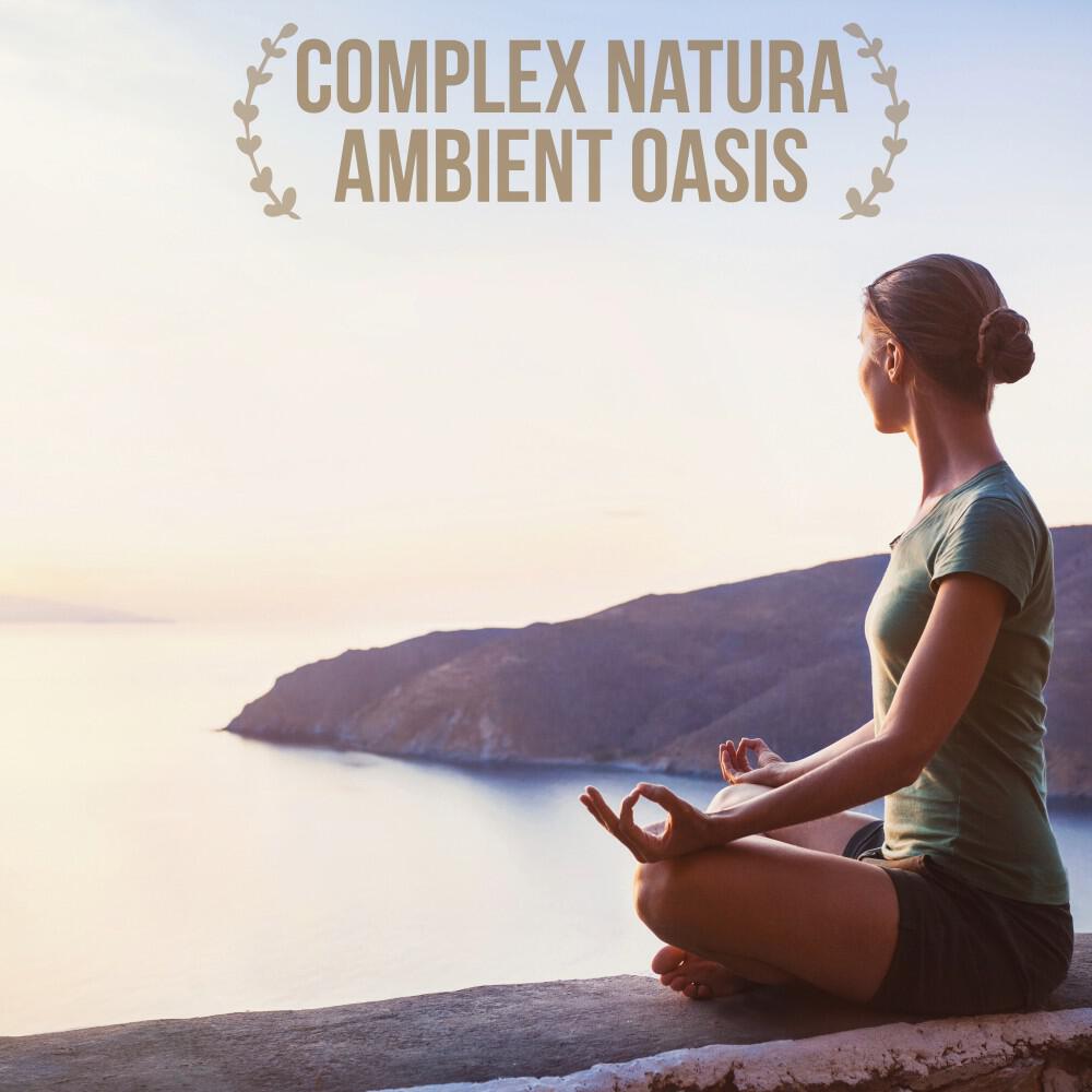 Релиз Ambient Oasis