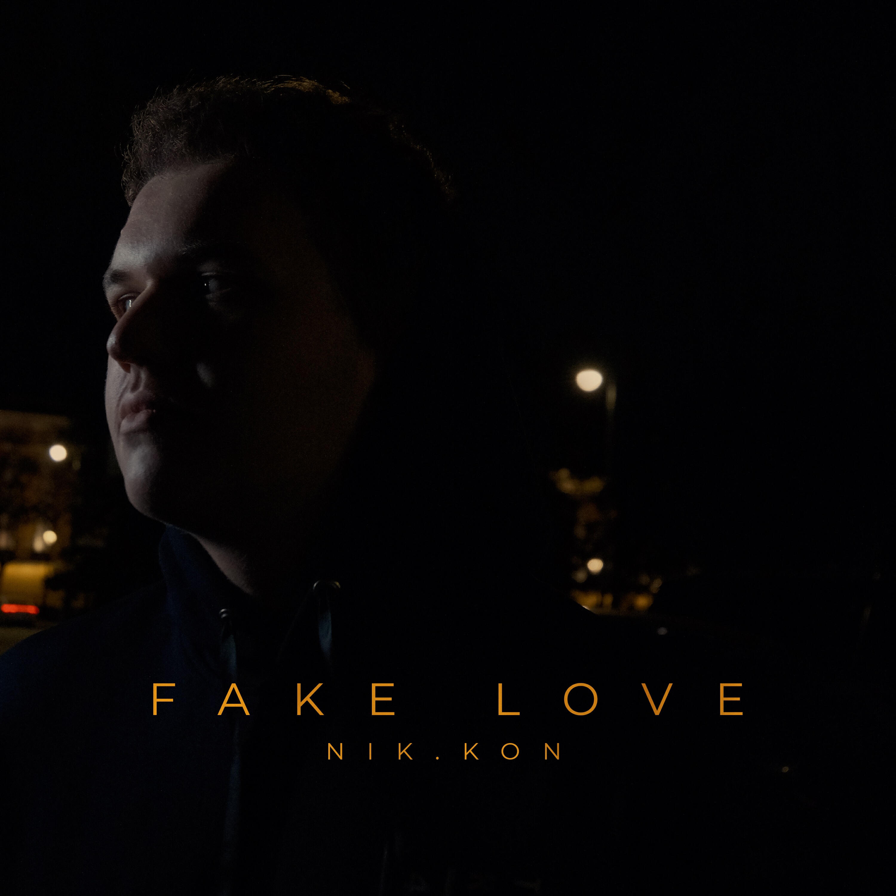 Постер альбома FAKE LOVE