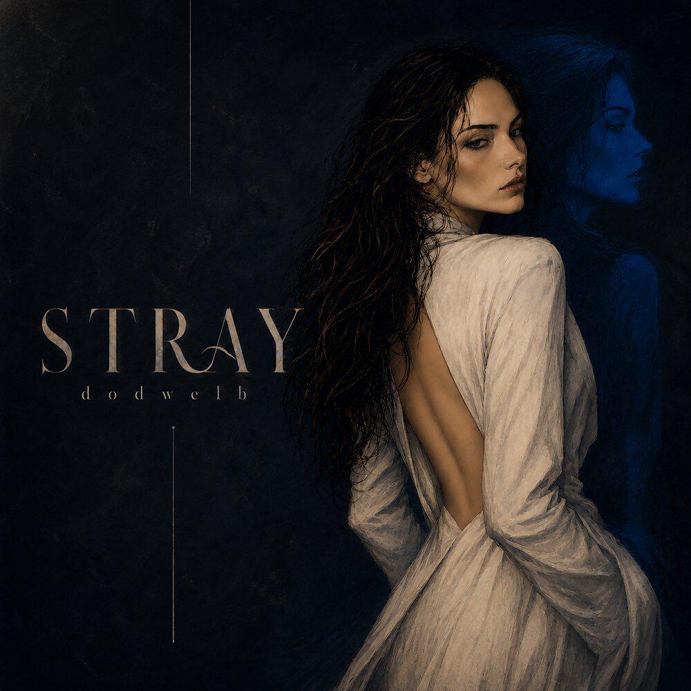 Релиз stray