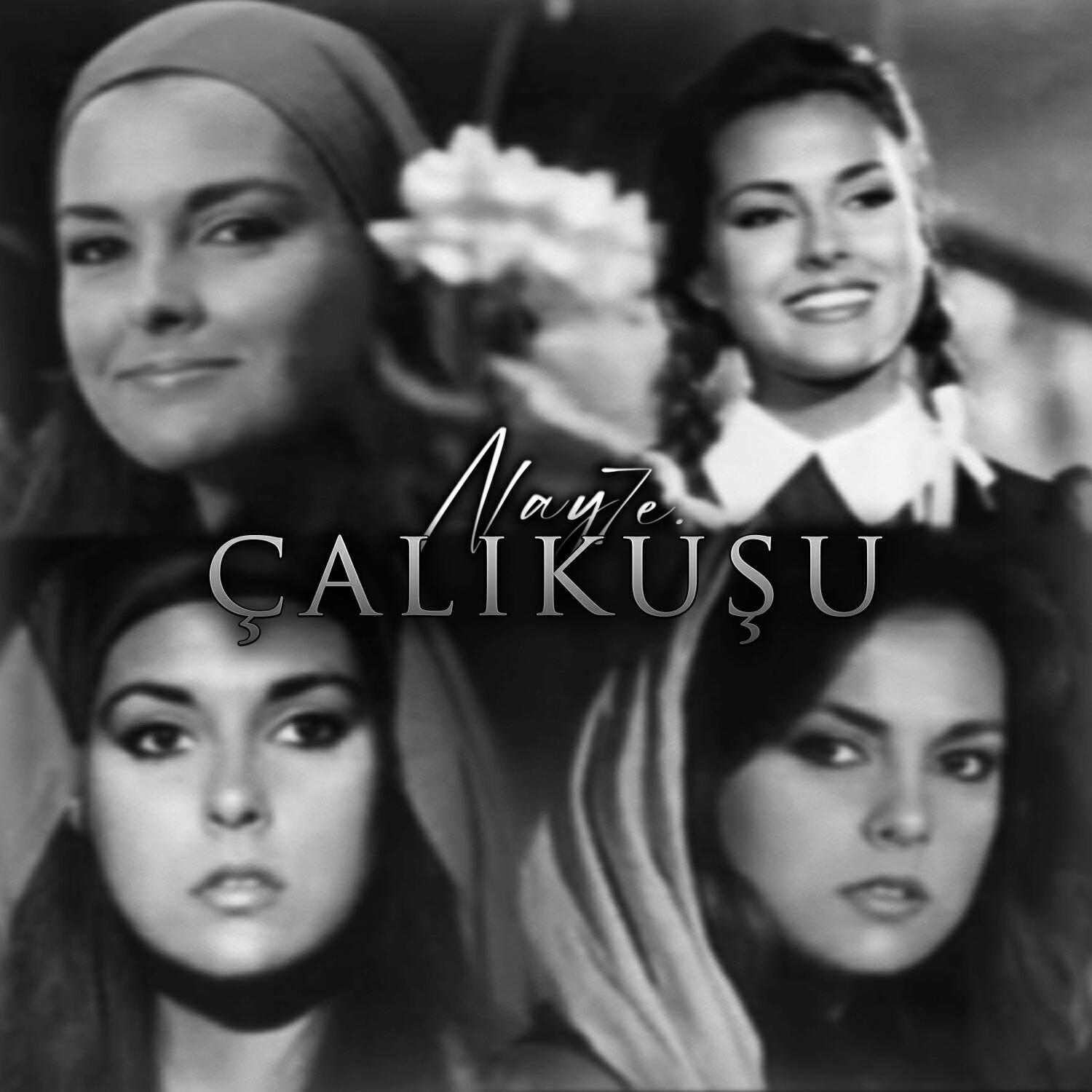 Релиз Çalıkuşu