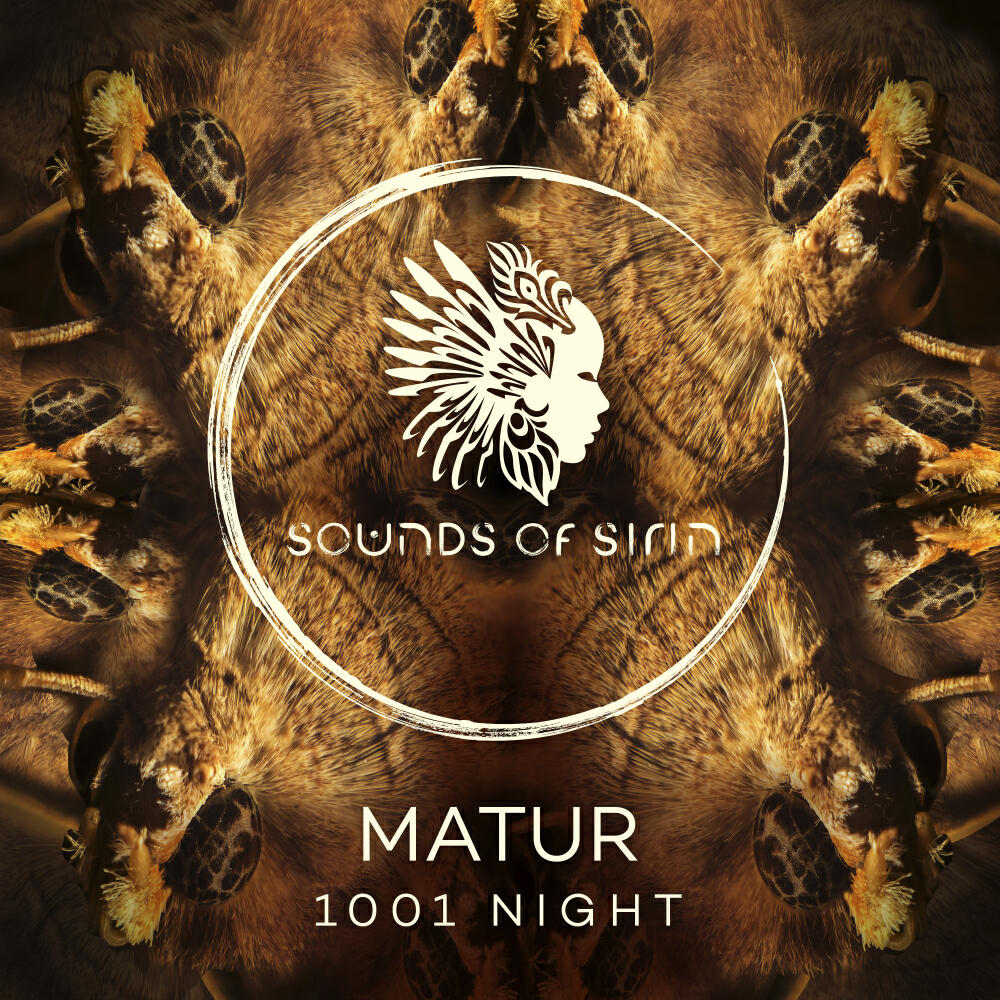 Релиз 1001 Night