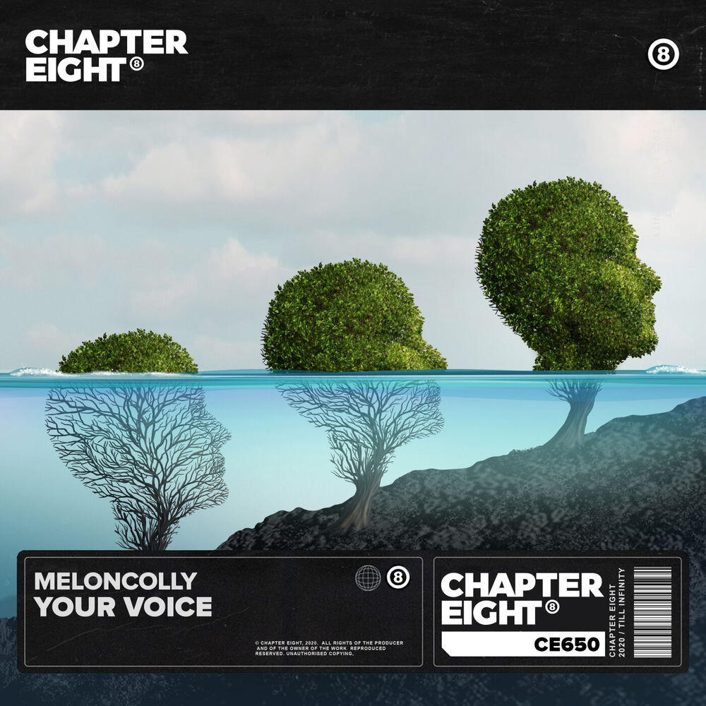 Релиз Your Voice