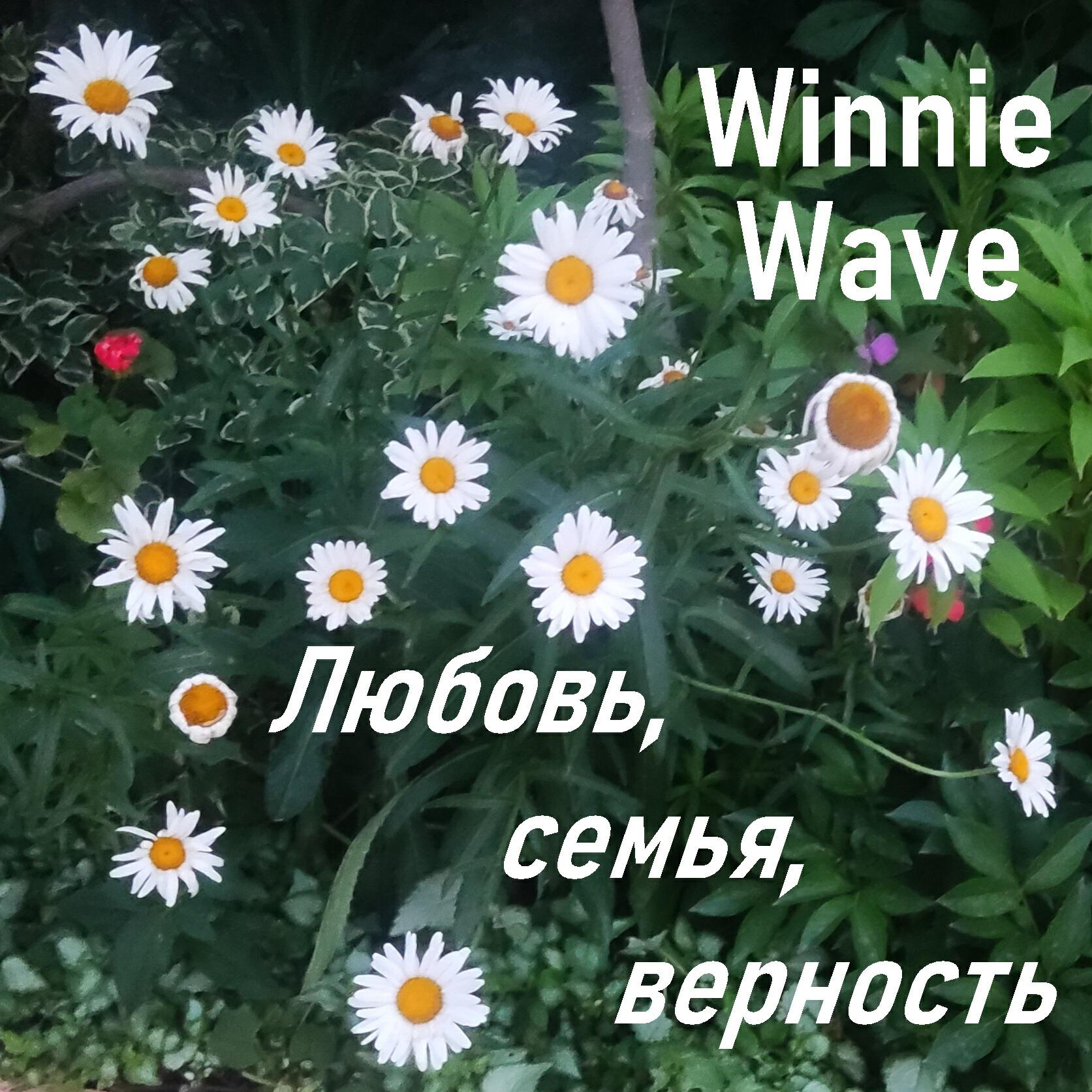 Winnie Wave