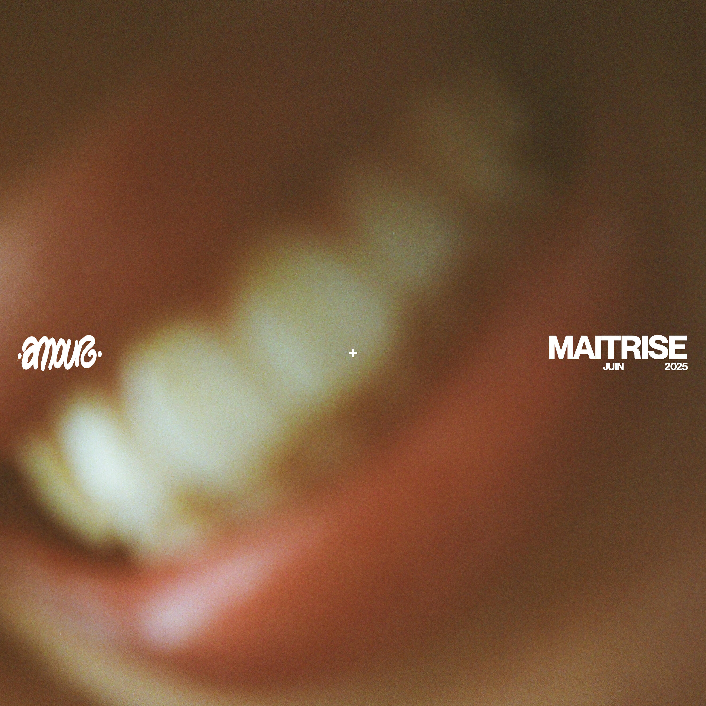 Релиз AMOUR MAITRISE