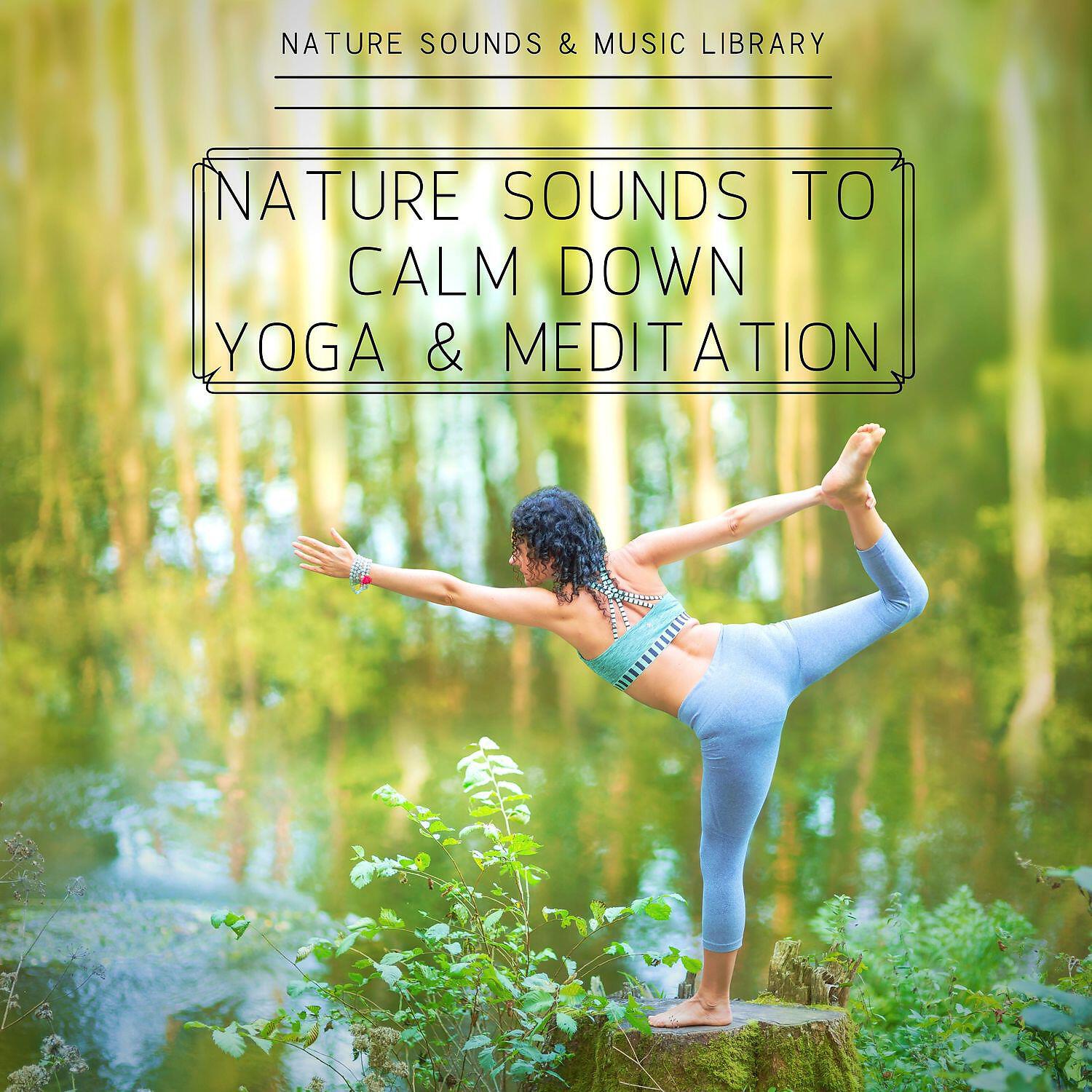 Релиз Nature Sounds to Calm Down, Yoga & Meditation