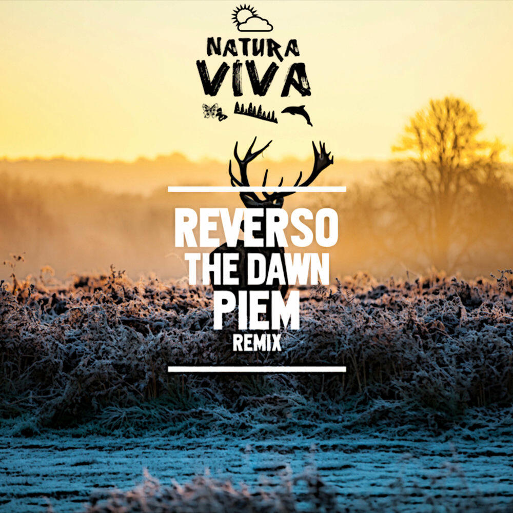 Релиз The Dawn