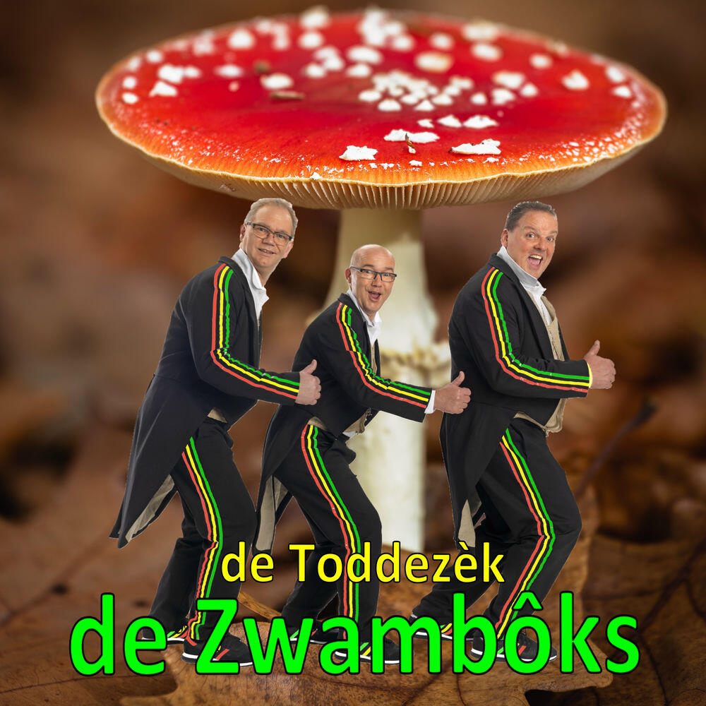 Релиз DE ZWAMBÔKS