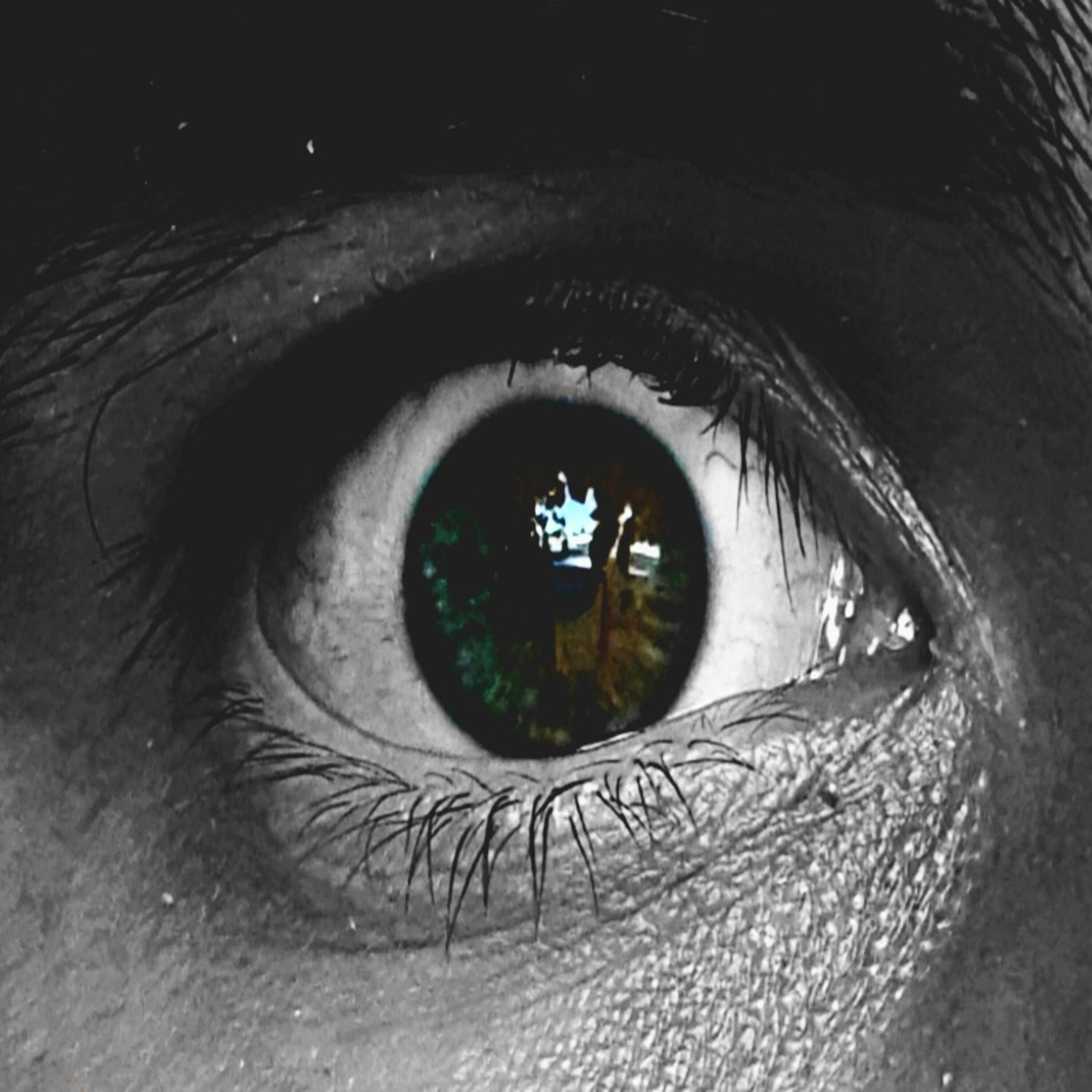 Релиз Знак