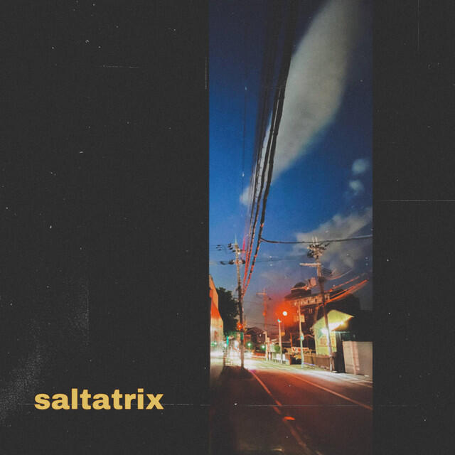Релиз saltatrix