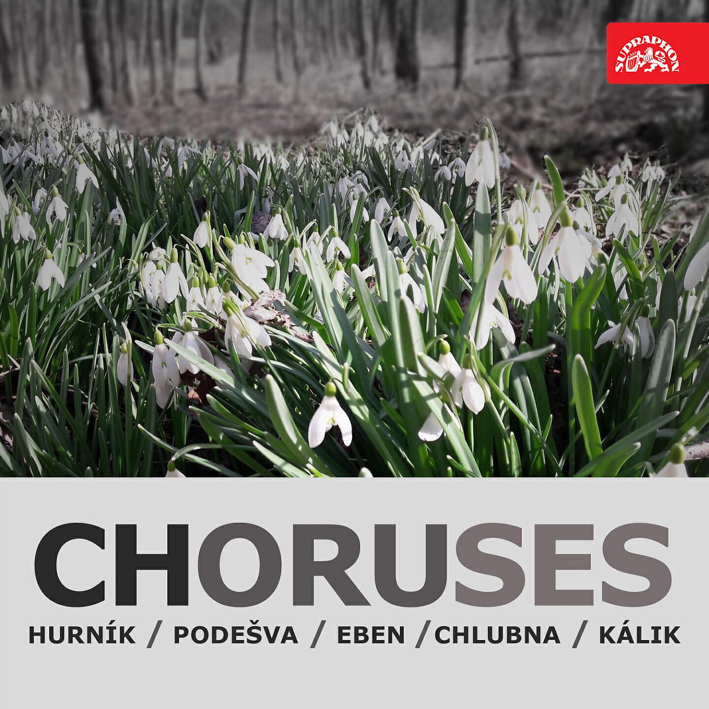 Релиз Choruses