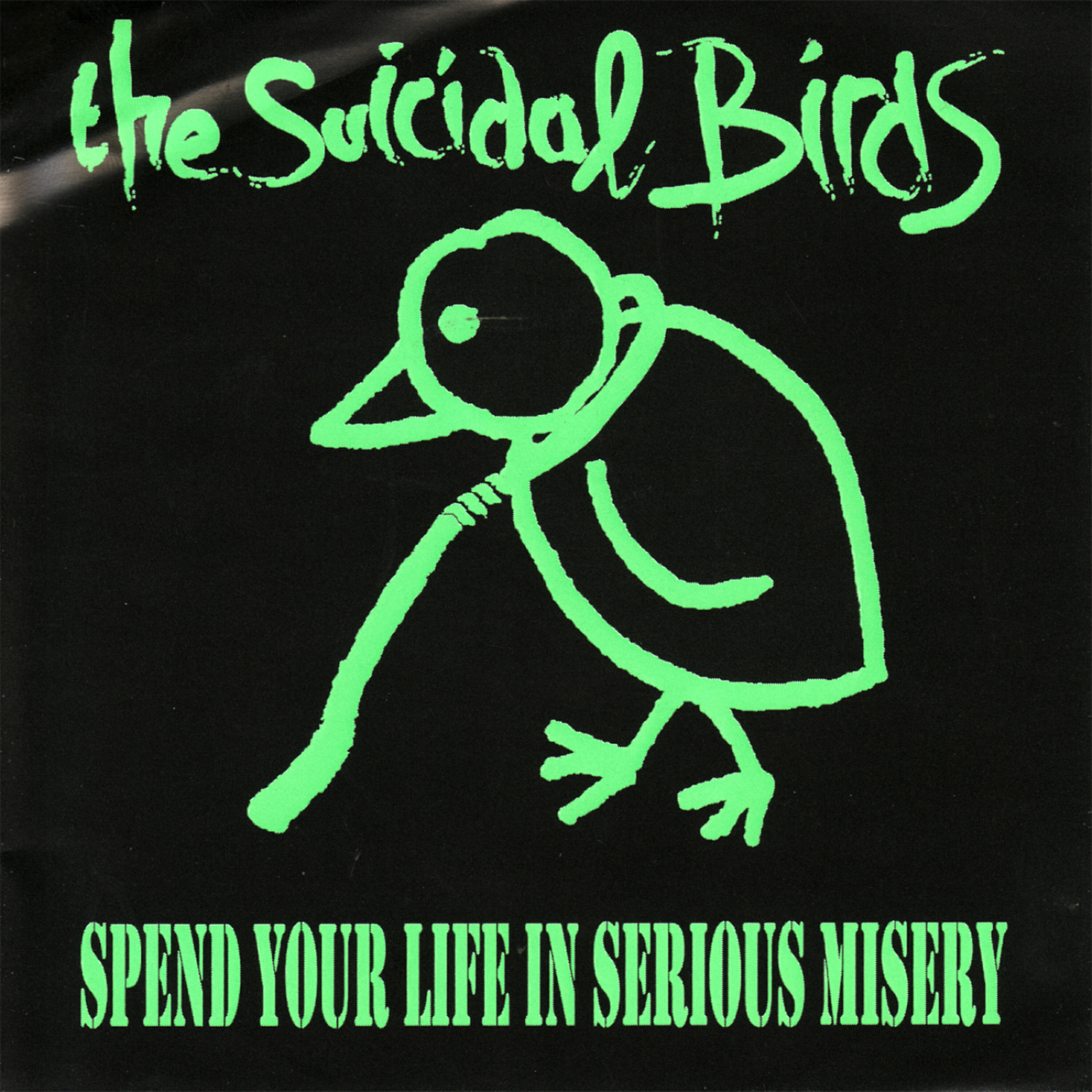Релиз Spend Your Life in Serious Misery