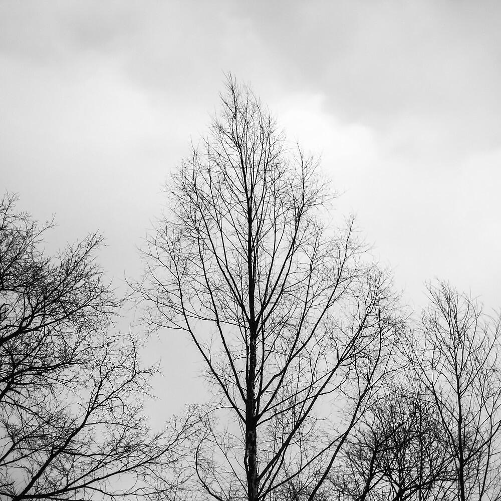 Релиз Lost