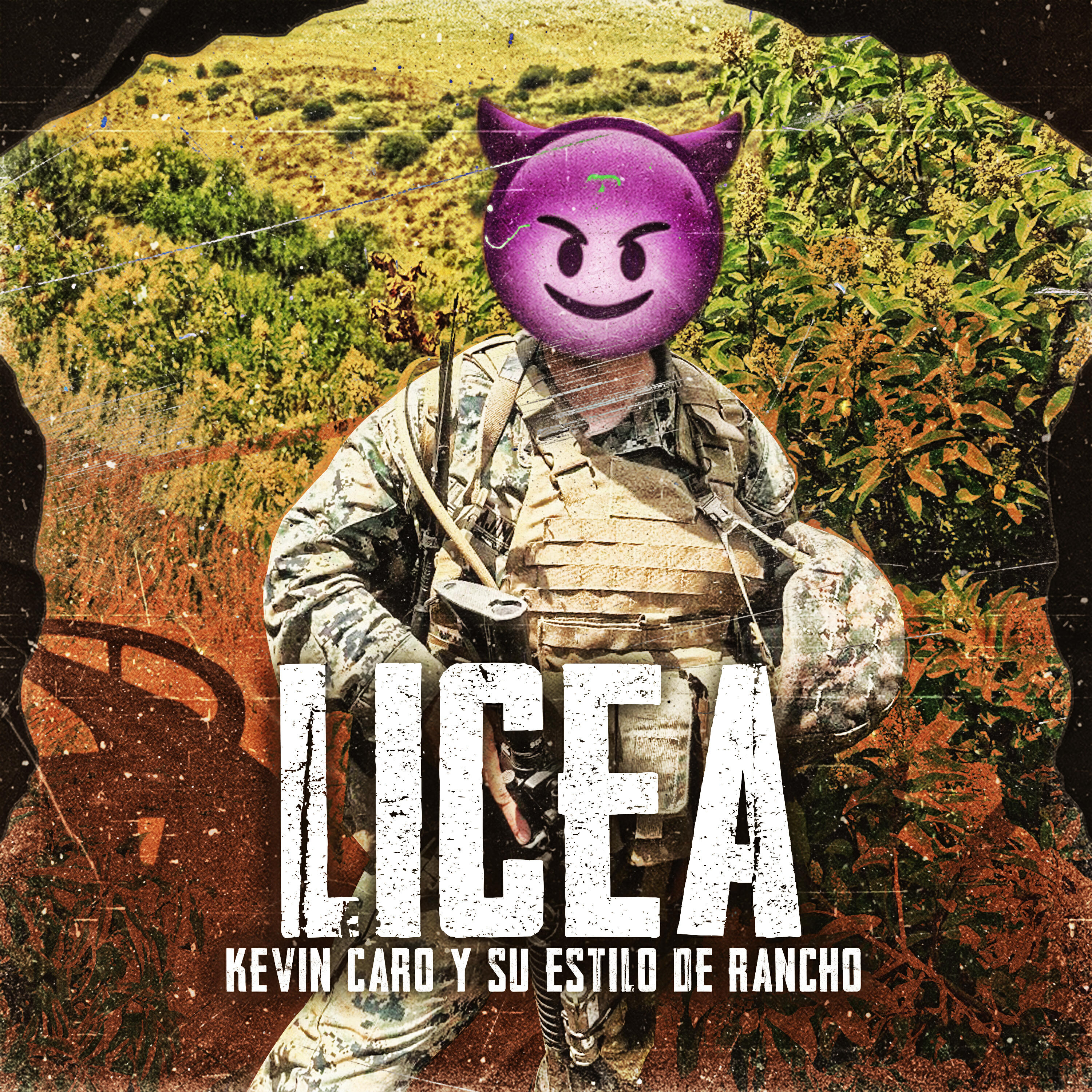Релиз Licea