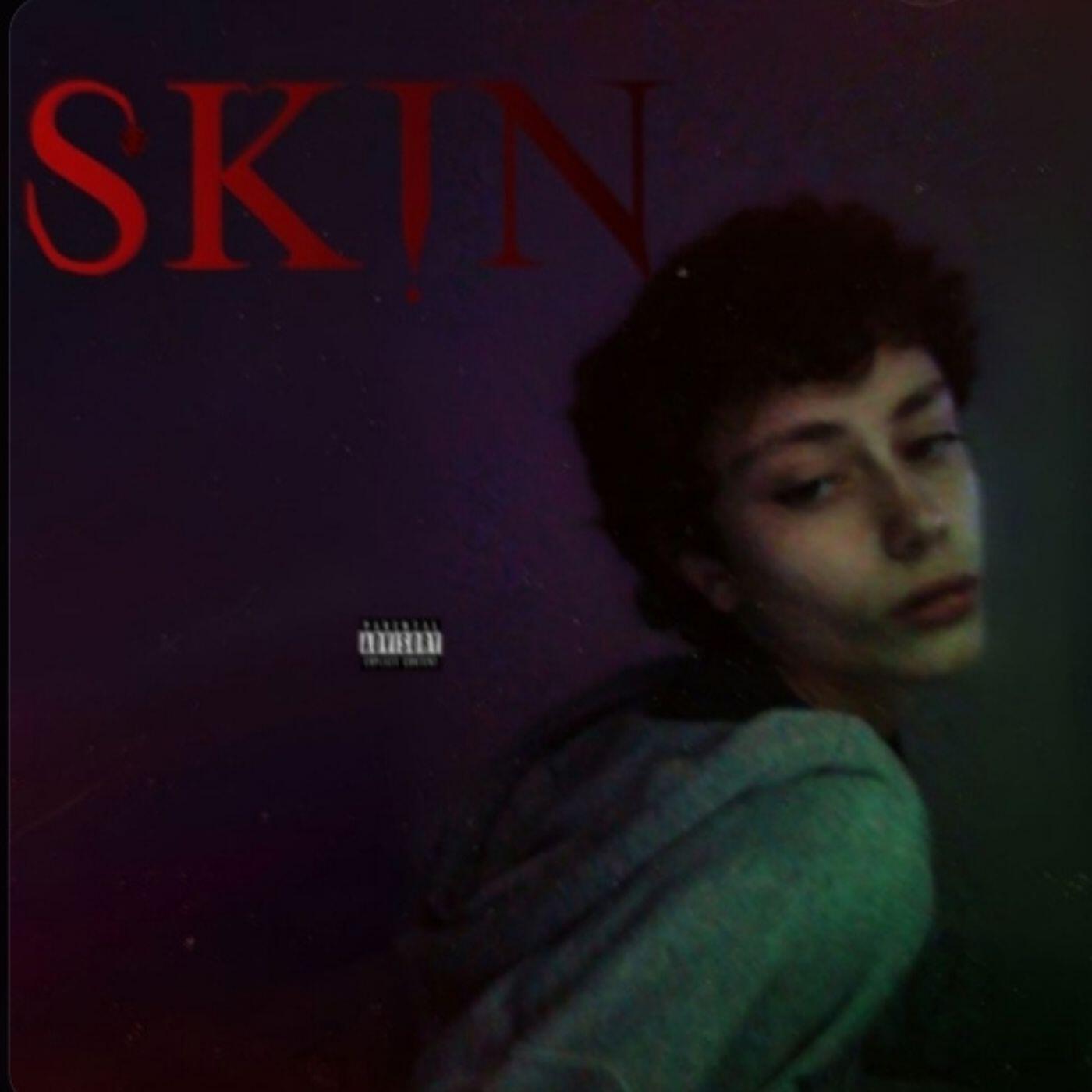 Релиз skin