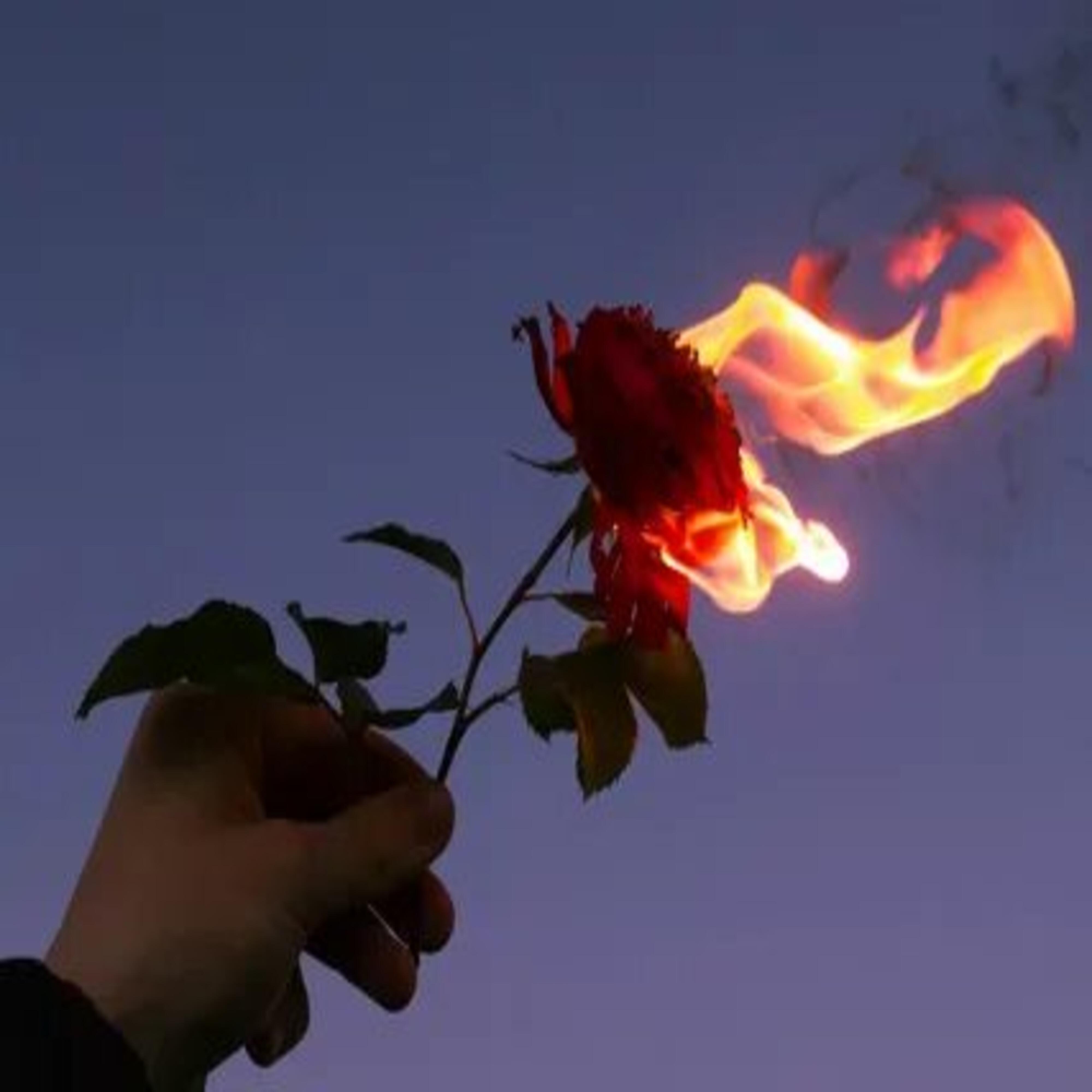 Релиз Не любила