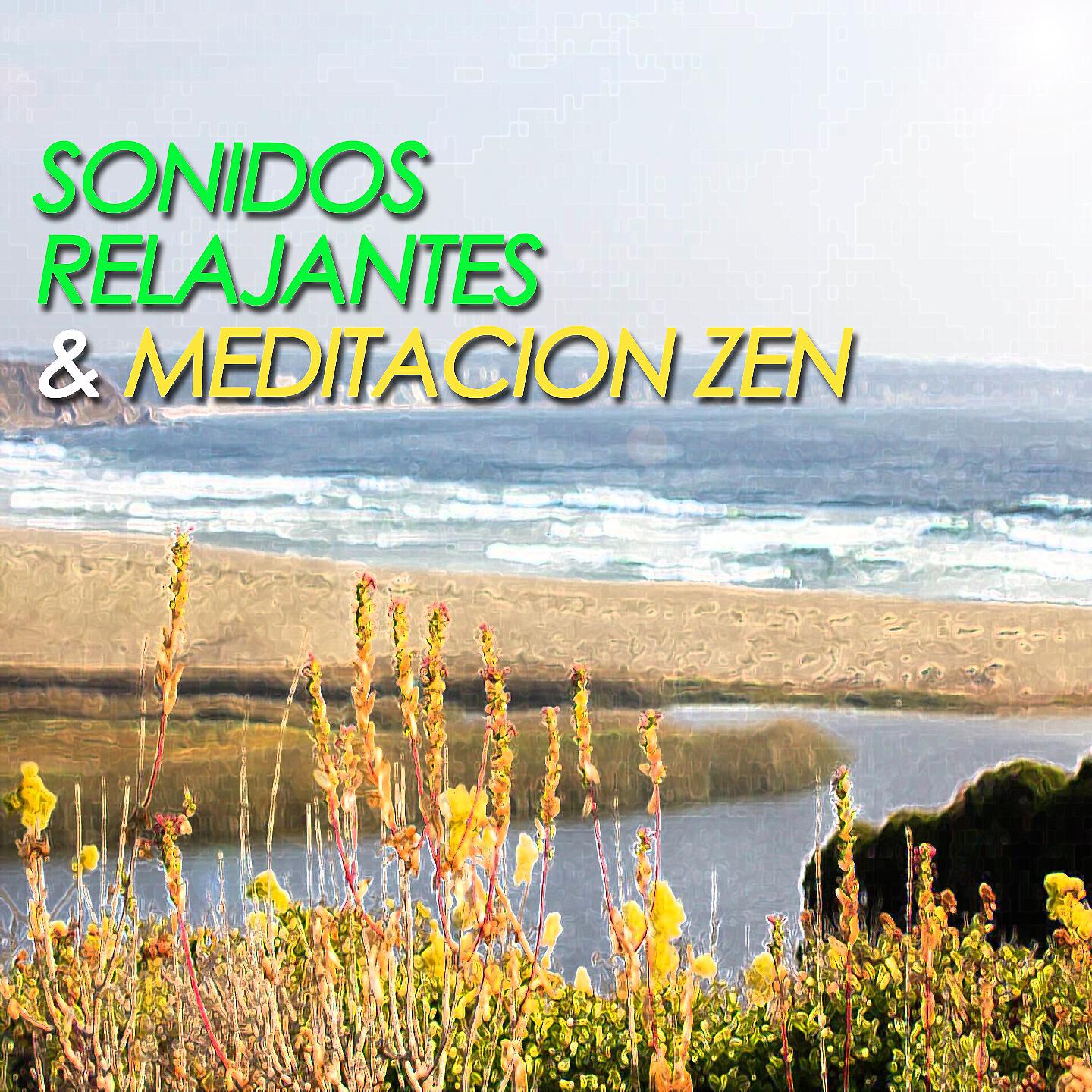 Релиз Sonidos Relajantes Para Meditar