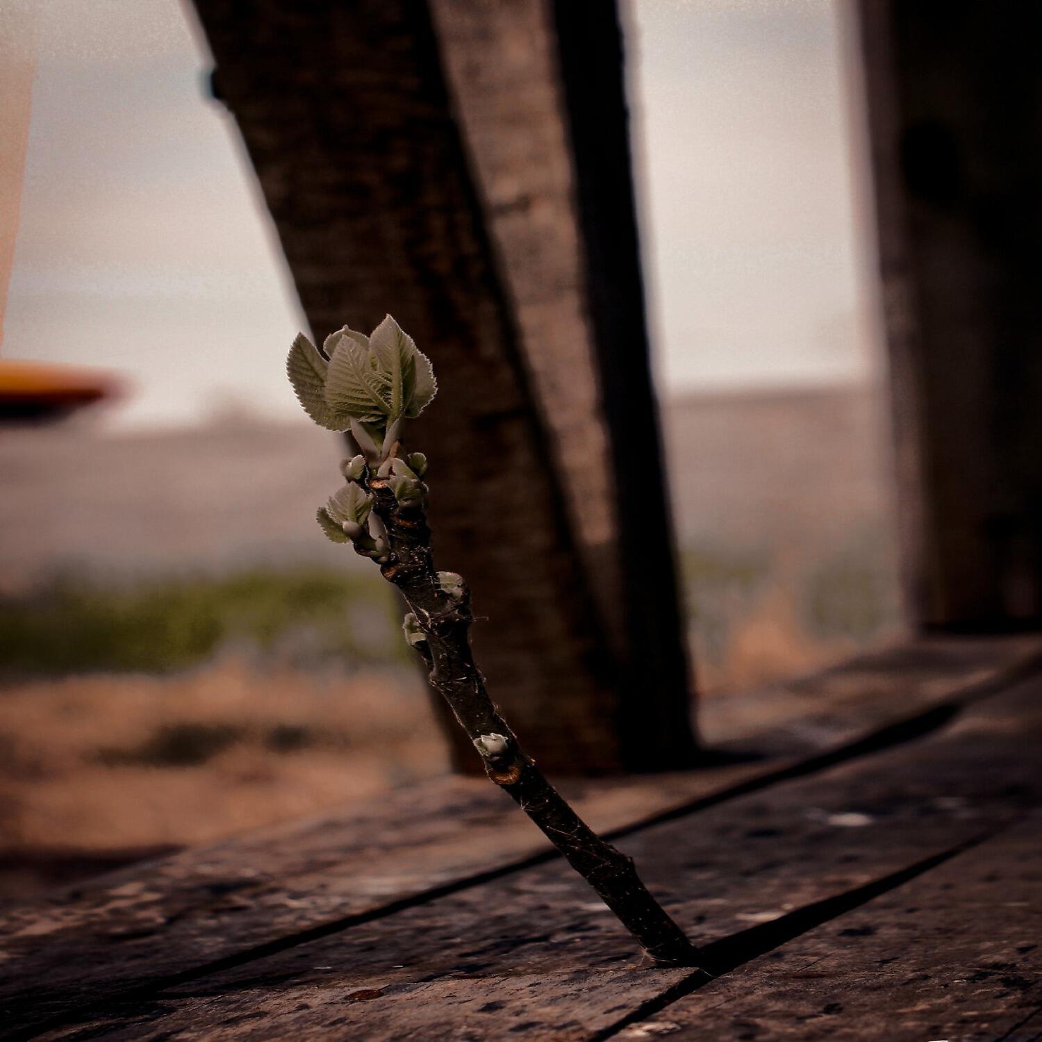 Релиз Hope