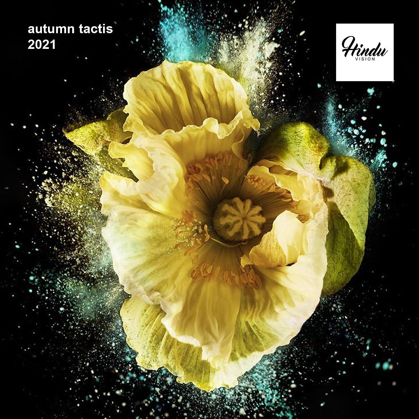 Релиз Autumn Tactis 2021