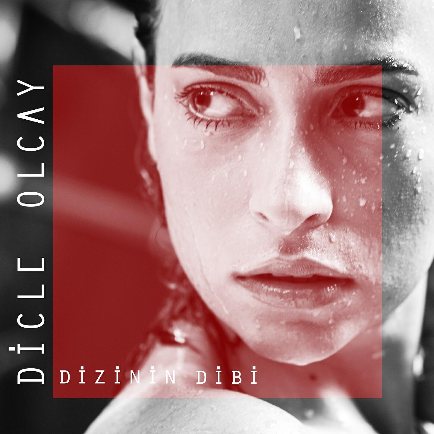 Релиз Dizinin Dibi