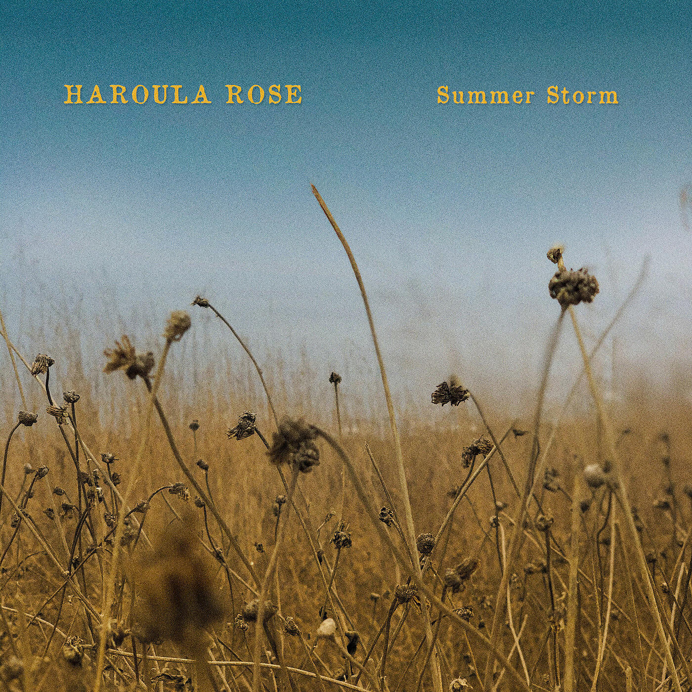 Релиз Summer Storm