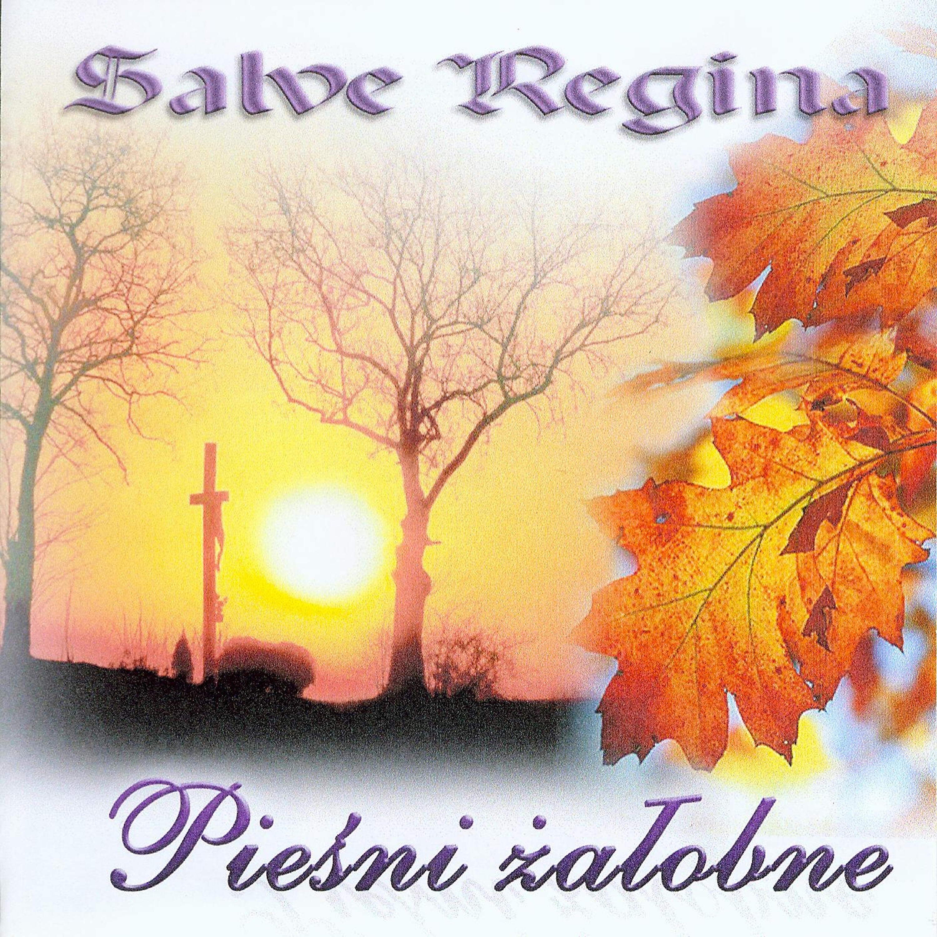 Релиз Salve Regina