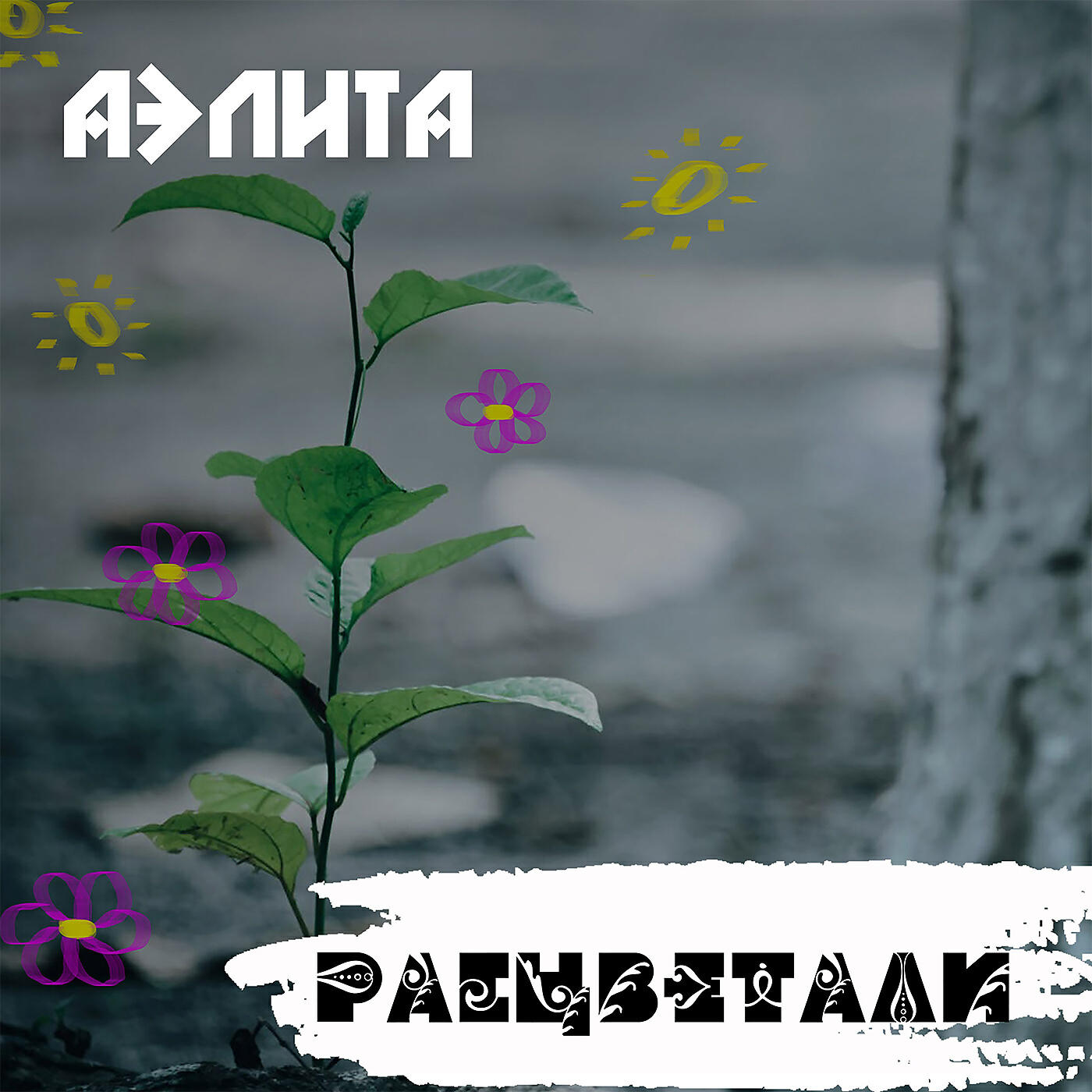 Релиз Расцветали