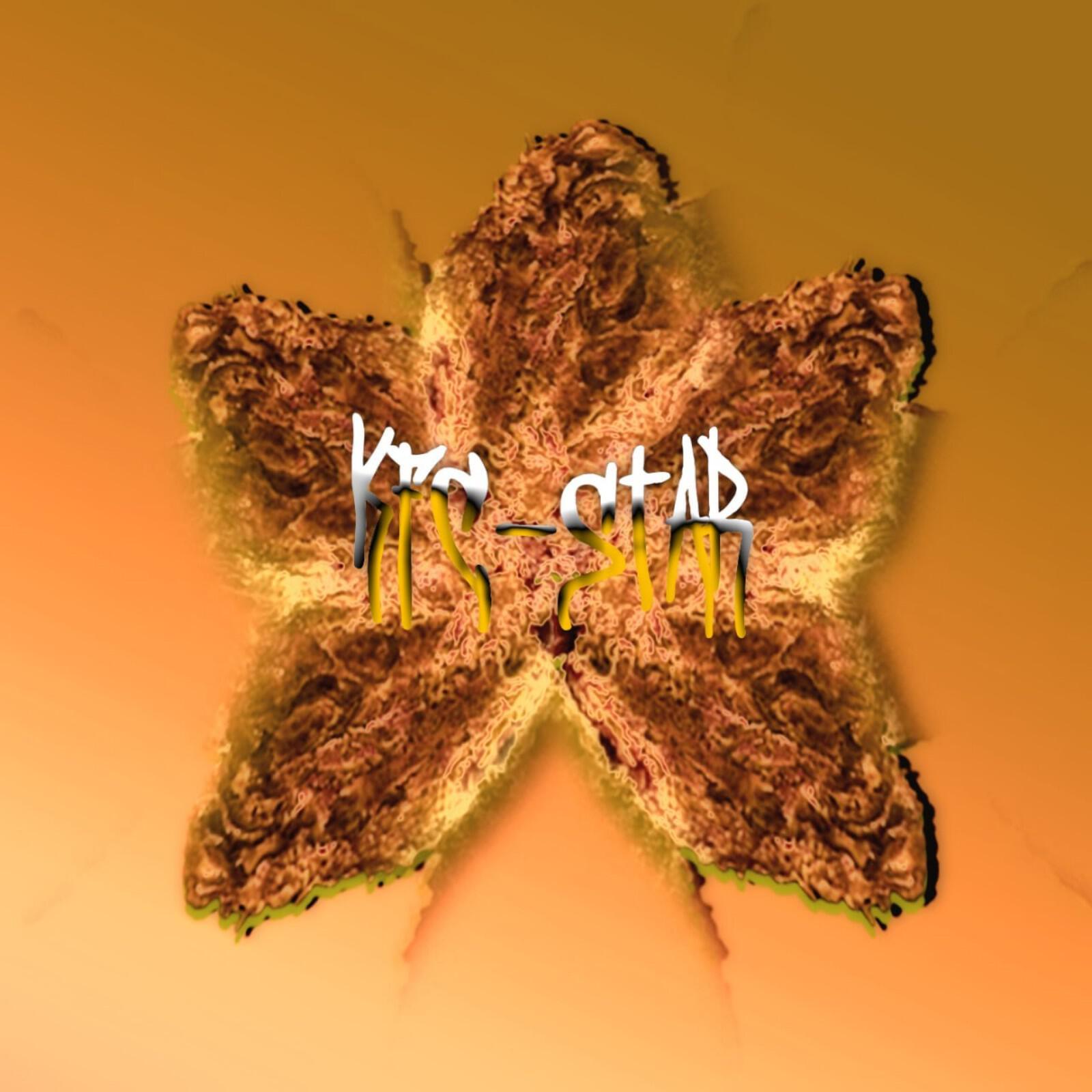 Релиз Kfc-star