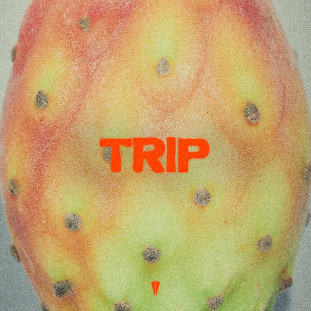 Релиз Trip