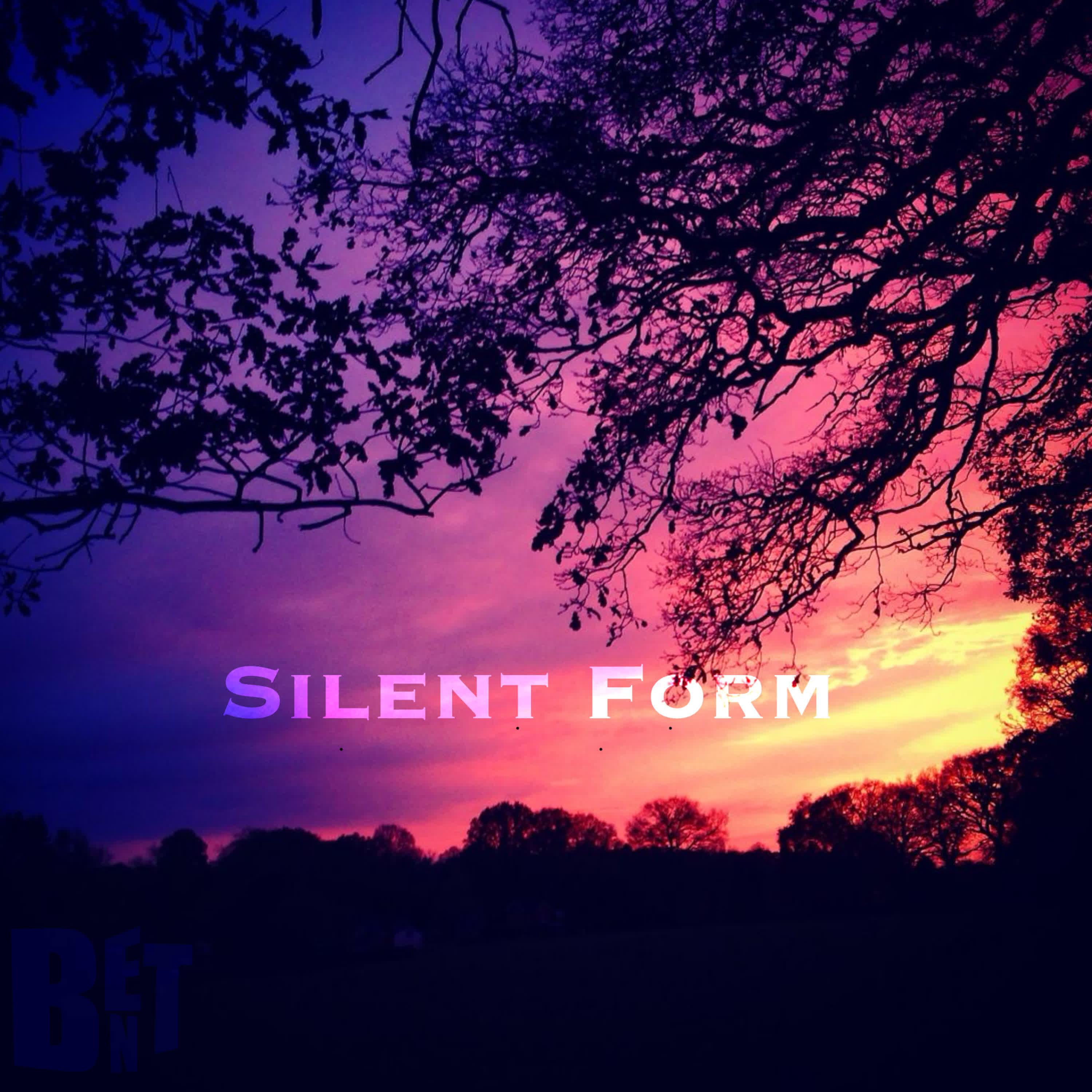 Релиз Silent Form