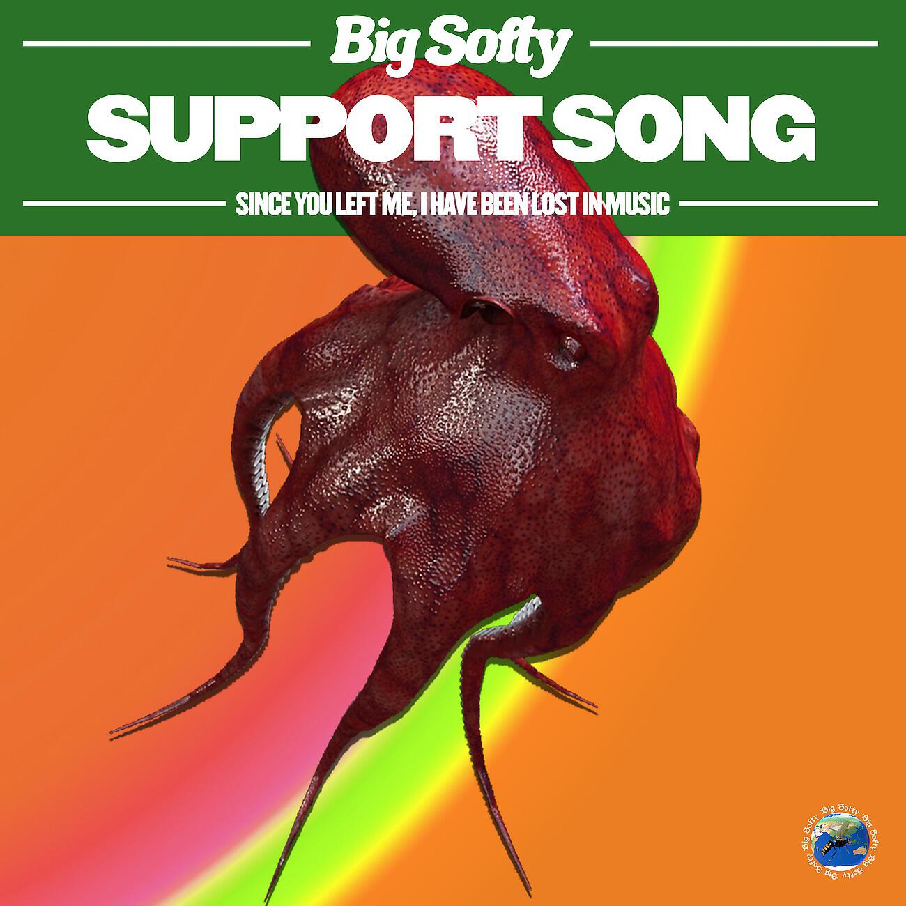 Релиз Support Song