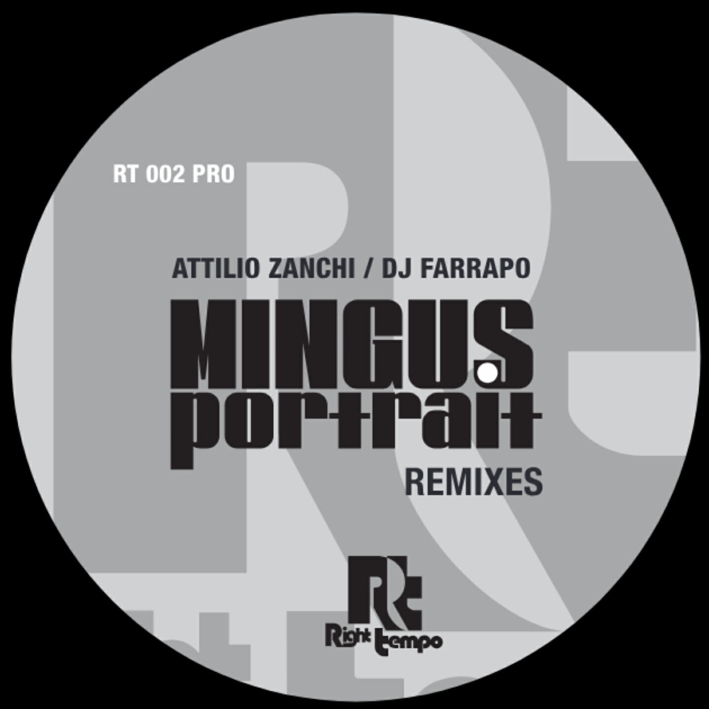 Постер альбома Mingus Portrait (Remixes)