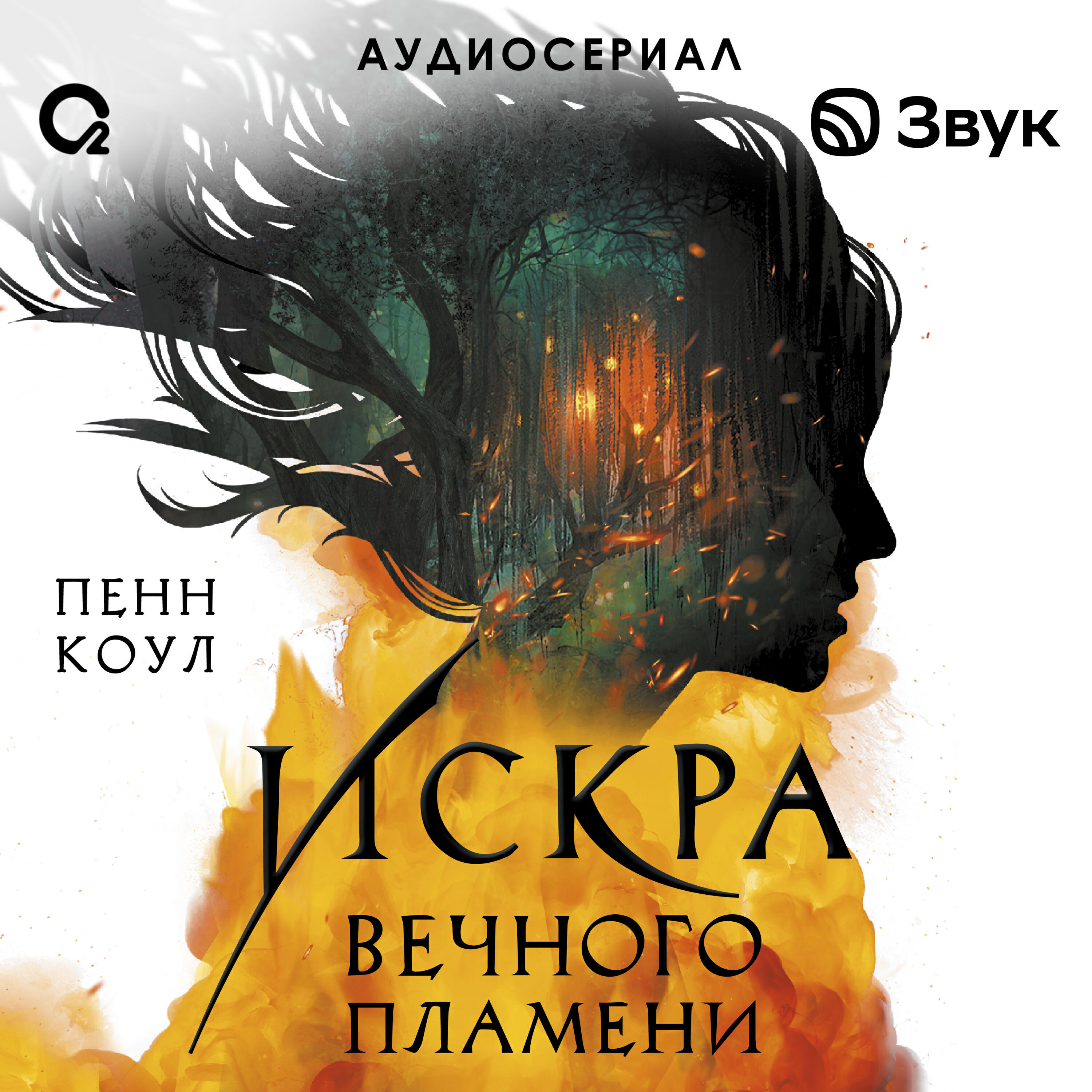 Книга Искра вечного пламени