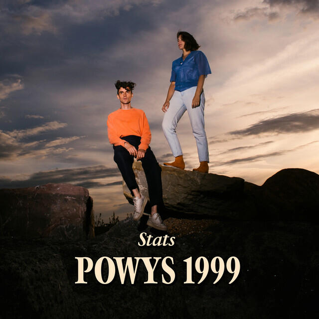 Релиз Powys 1999