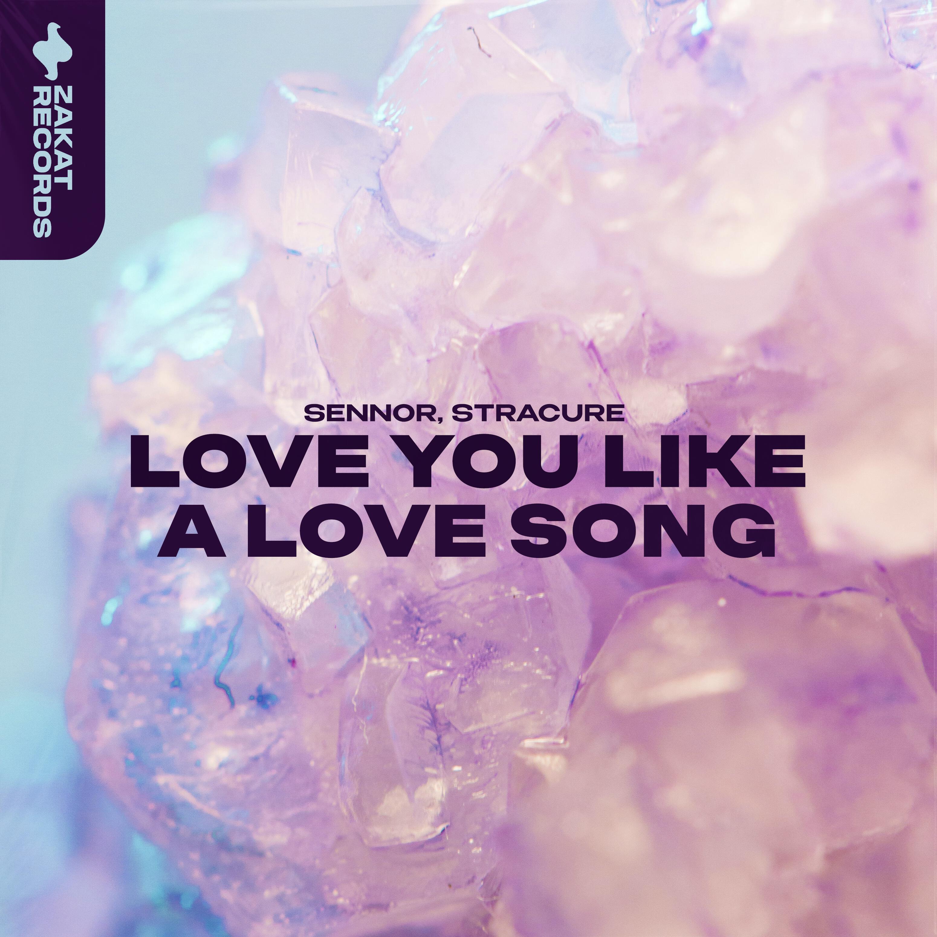 Постер альбома Love You Like a Love Song
