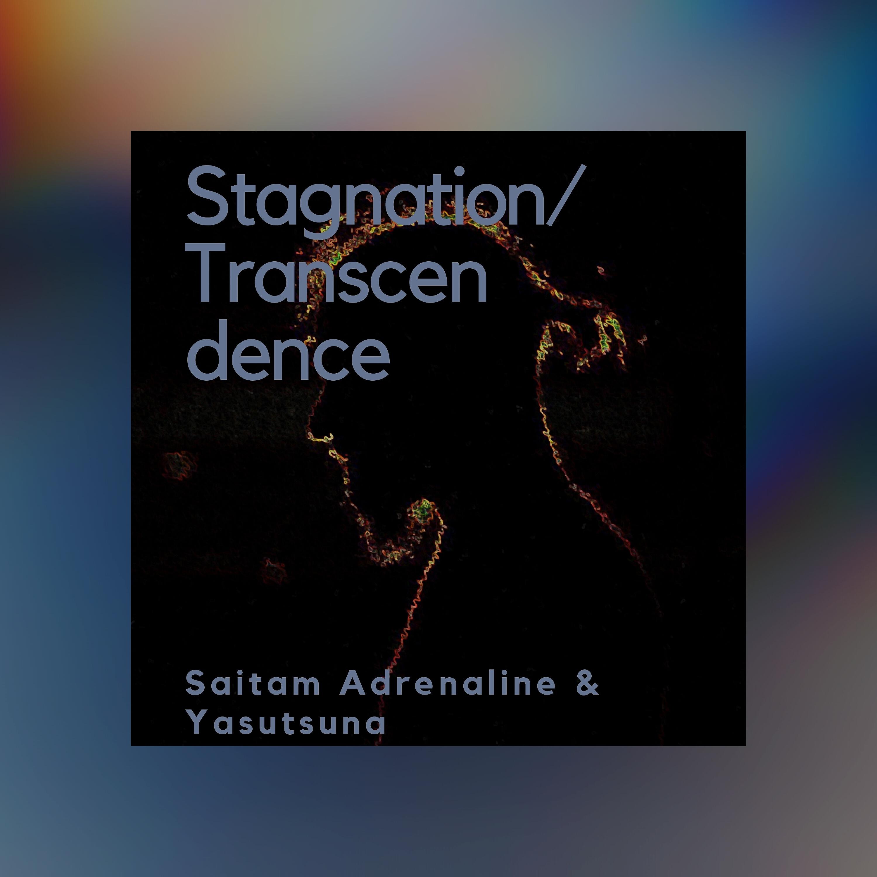 Релиз Stagnation / Transcendence