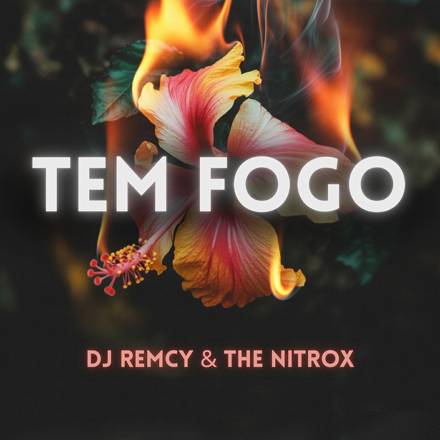 Релиз Tem Fogo