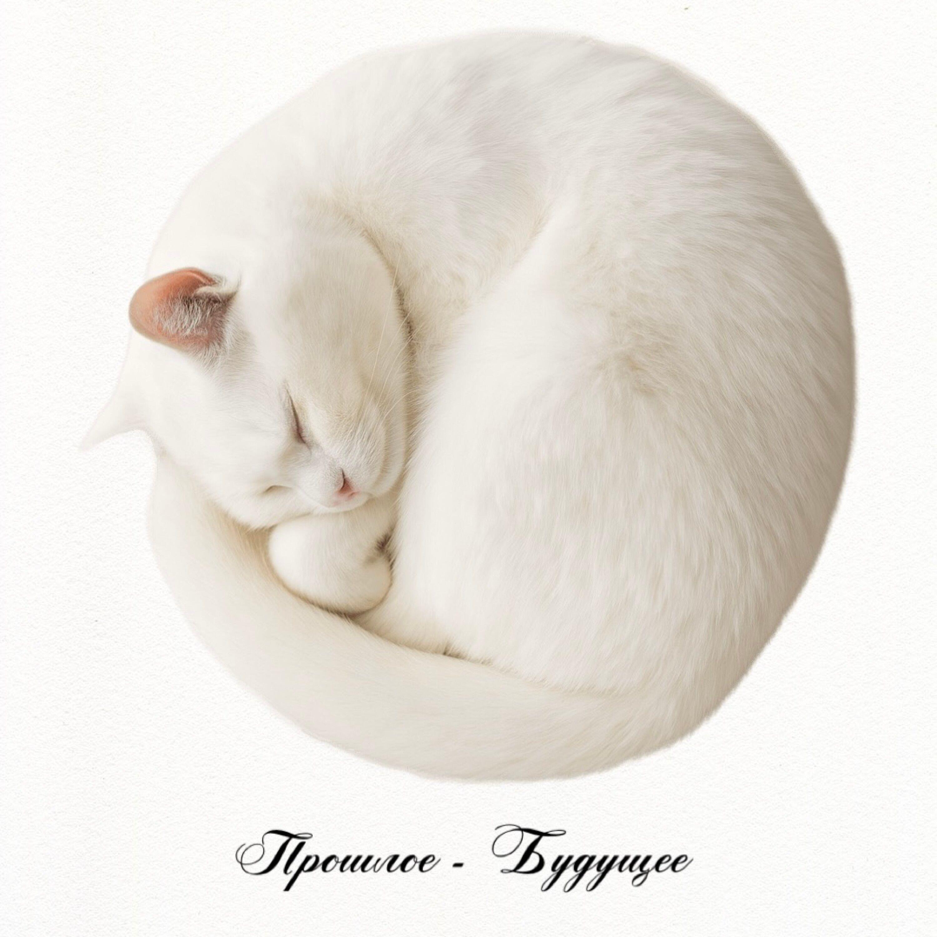 Релиз Прошлое - Будущее
