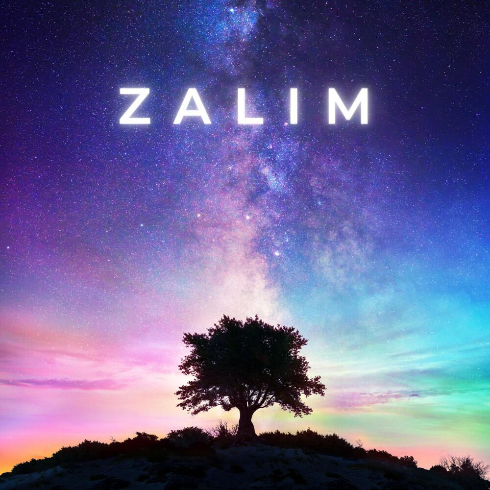 Релиз ZALIM