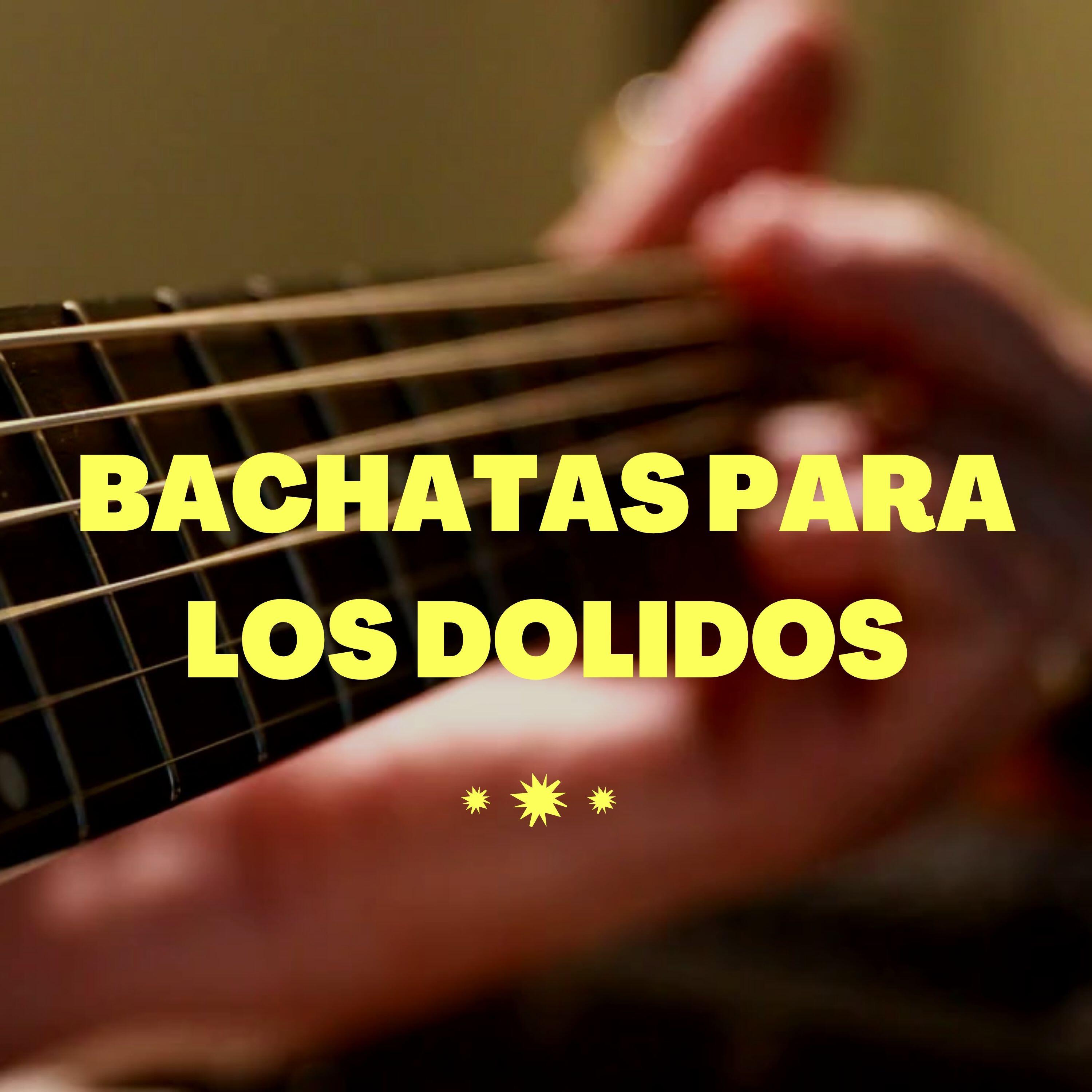 Скачать песню Raulín Rodríguez - Soledad бесплатно в MP3 для Android и iOS