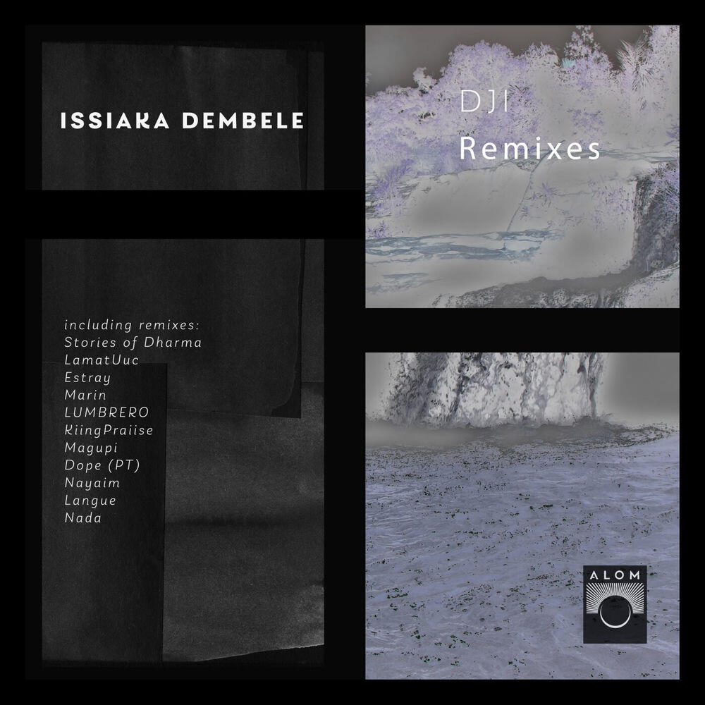 Релиз DJI Remixes