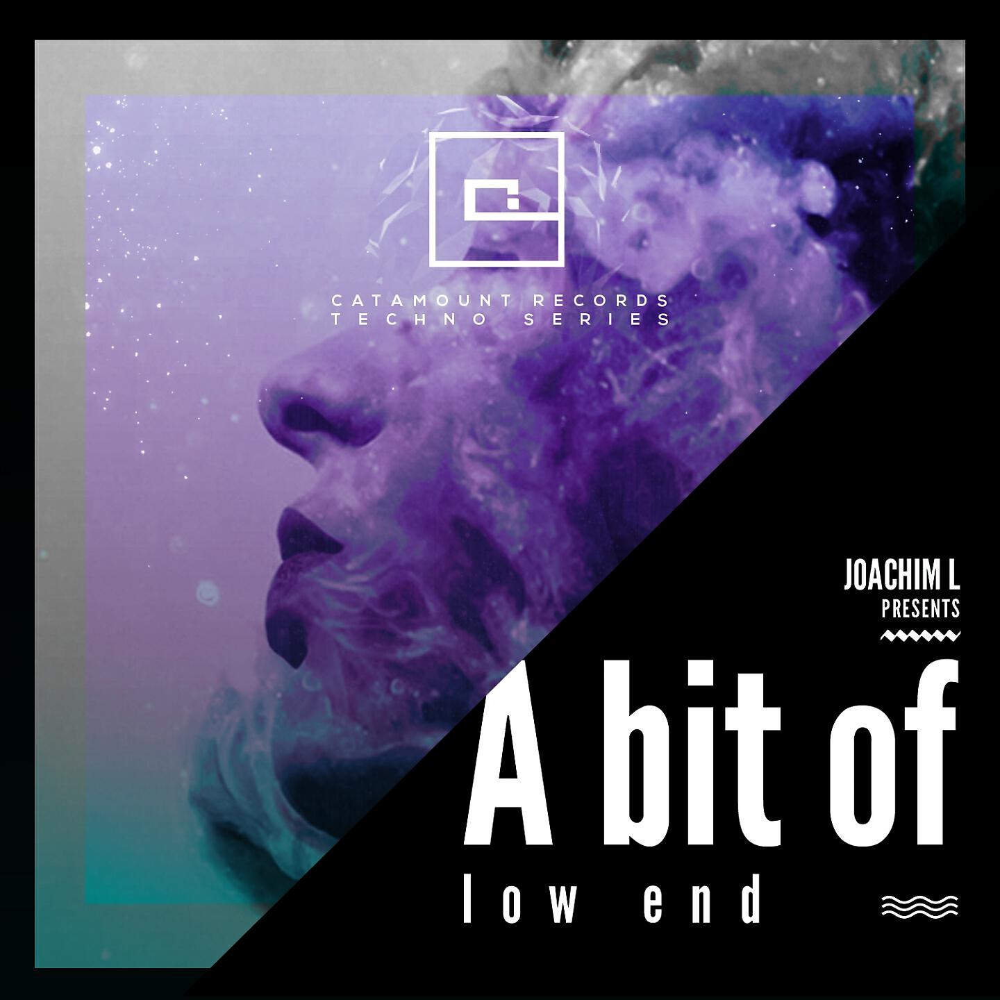 Релиз A Bit of Low End