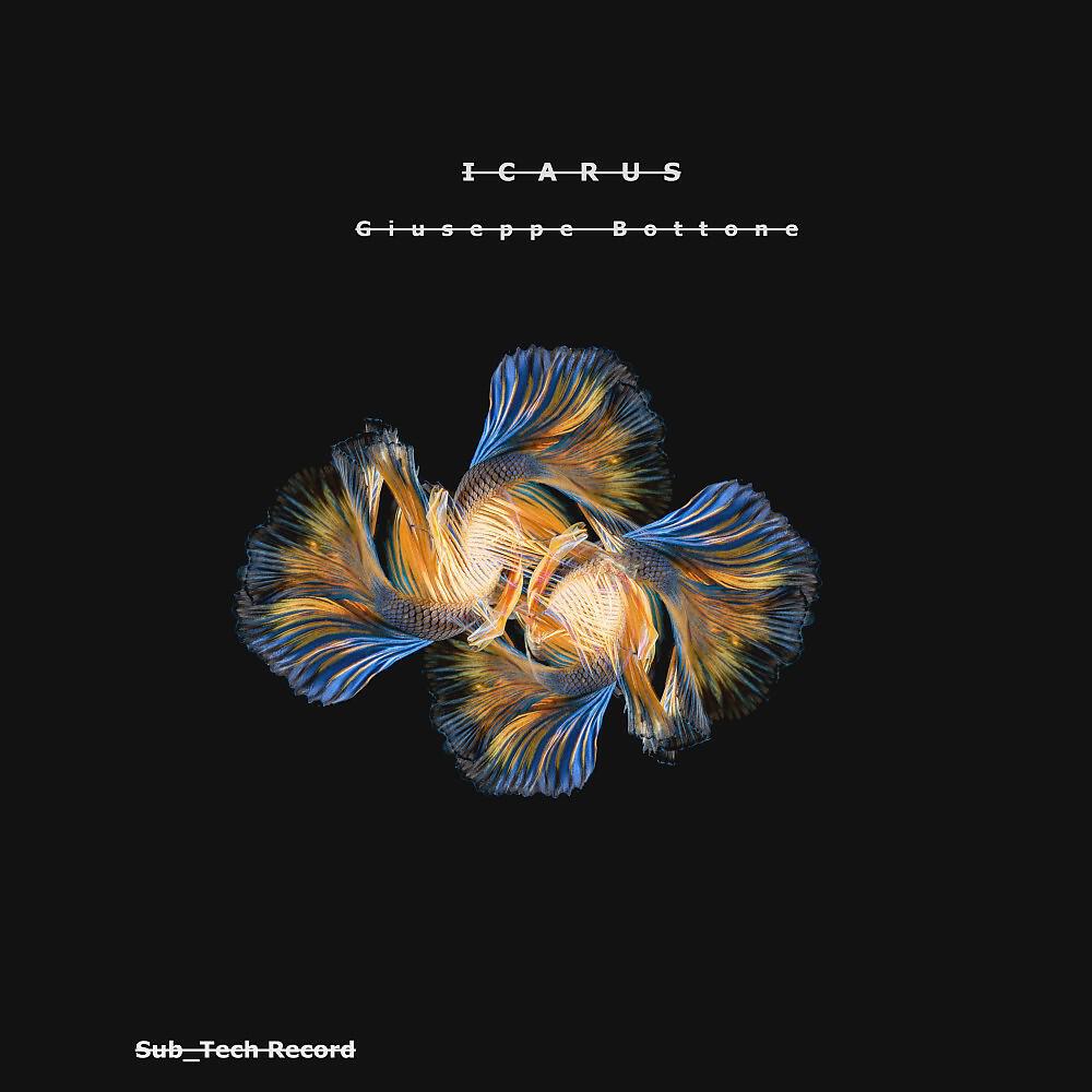 Релиз Icarus