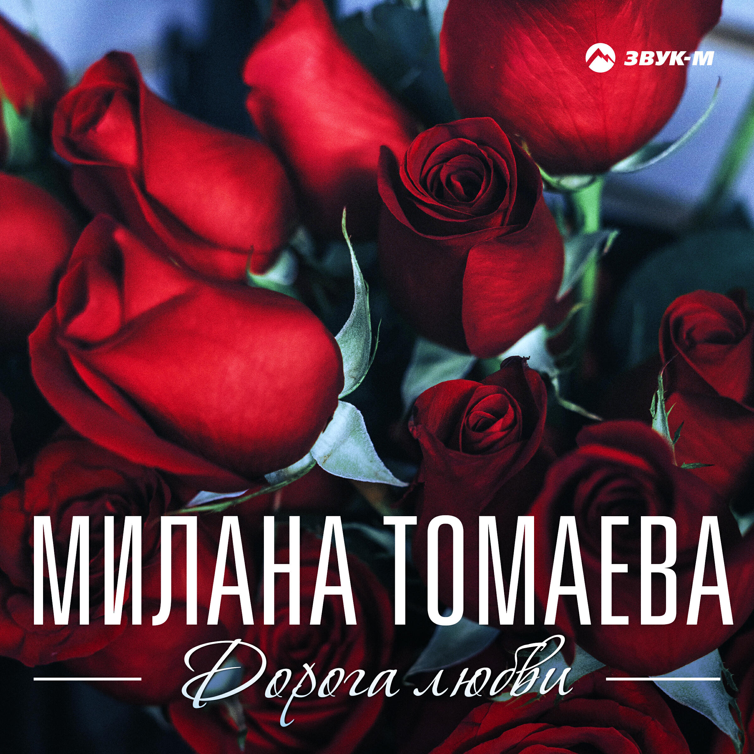Релиз Дорога любви