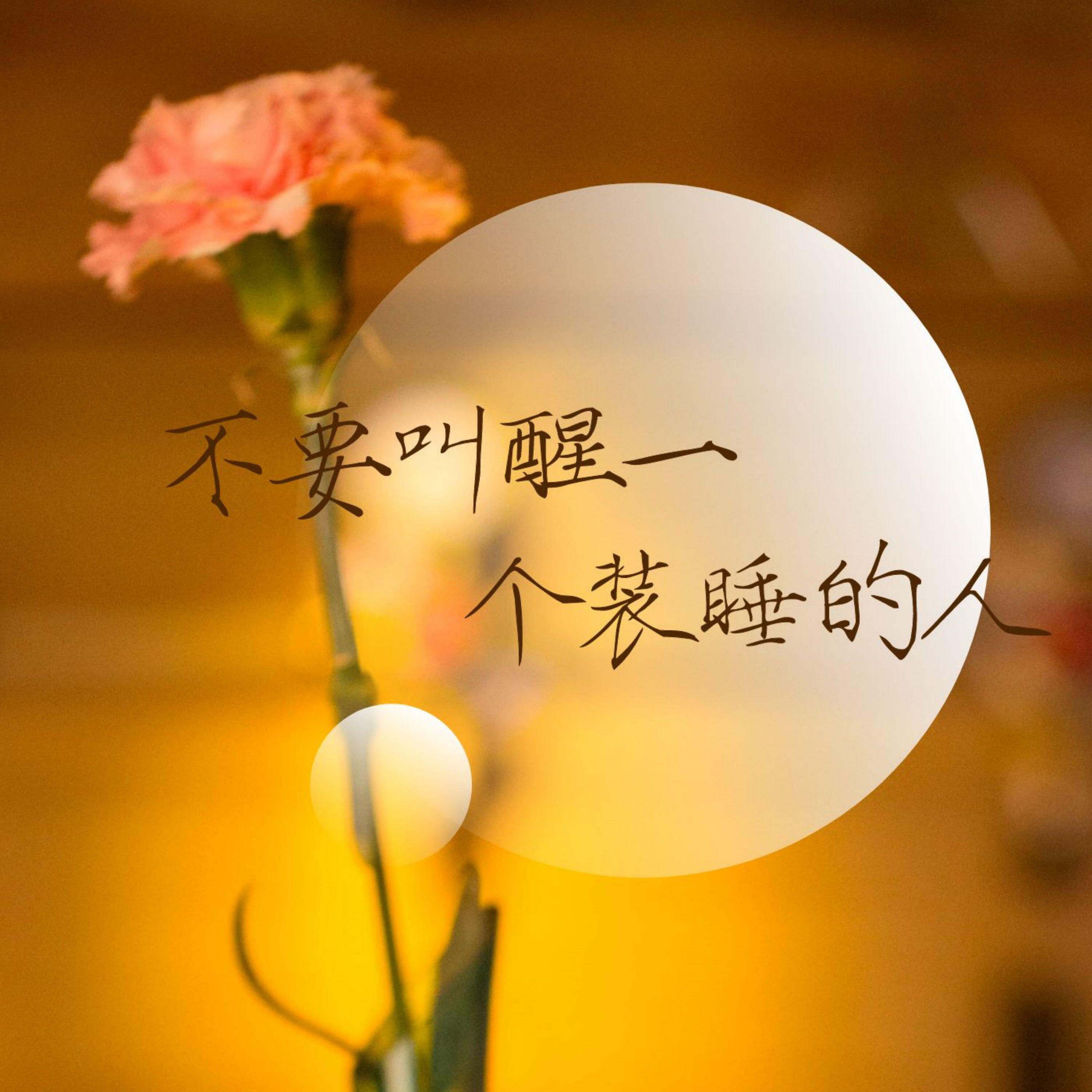 怿宛