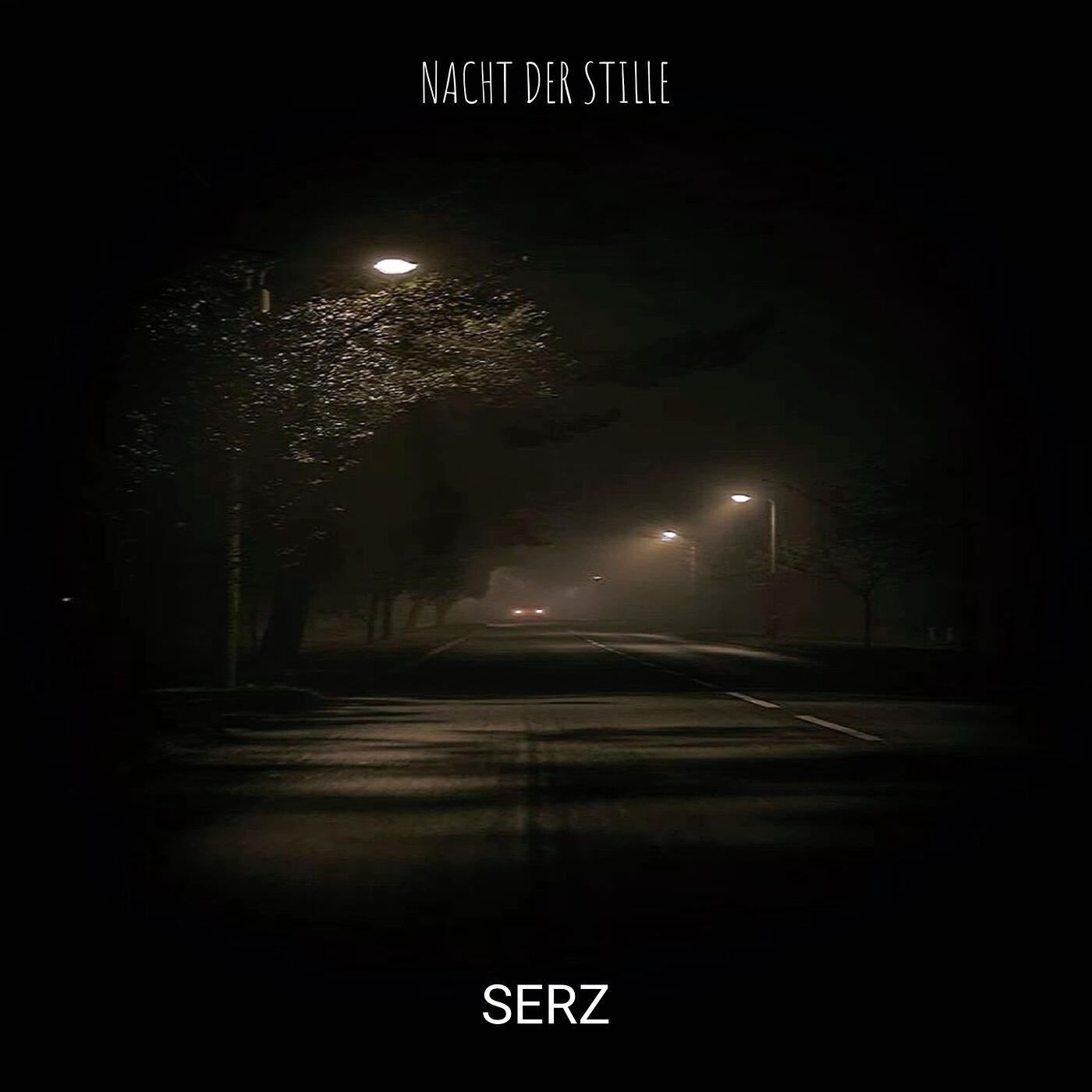 Релиз Nacht Der Stille