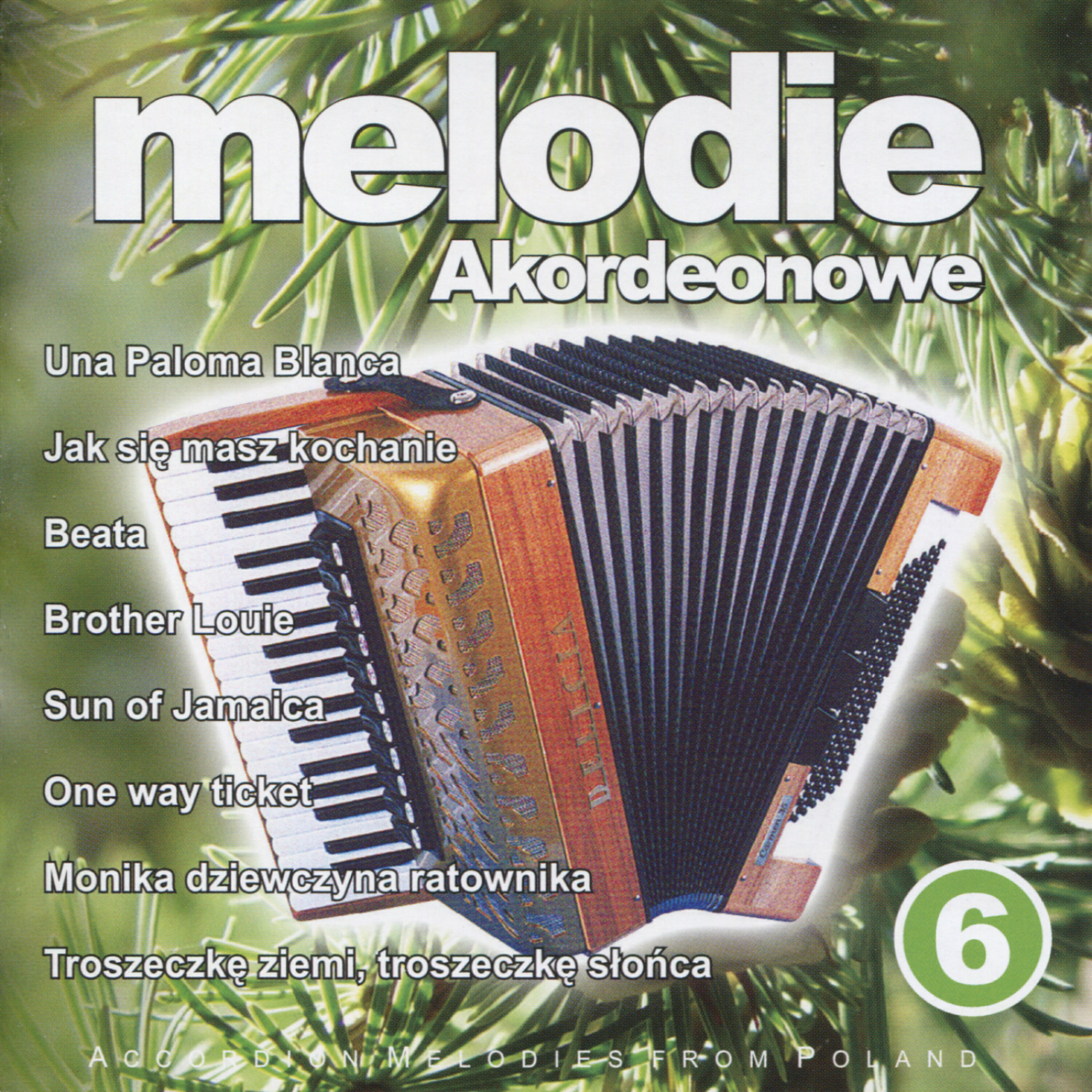 Релиз Jak sie masz kochanie - Accordion Melodies from Poland