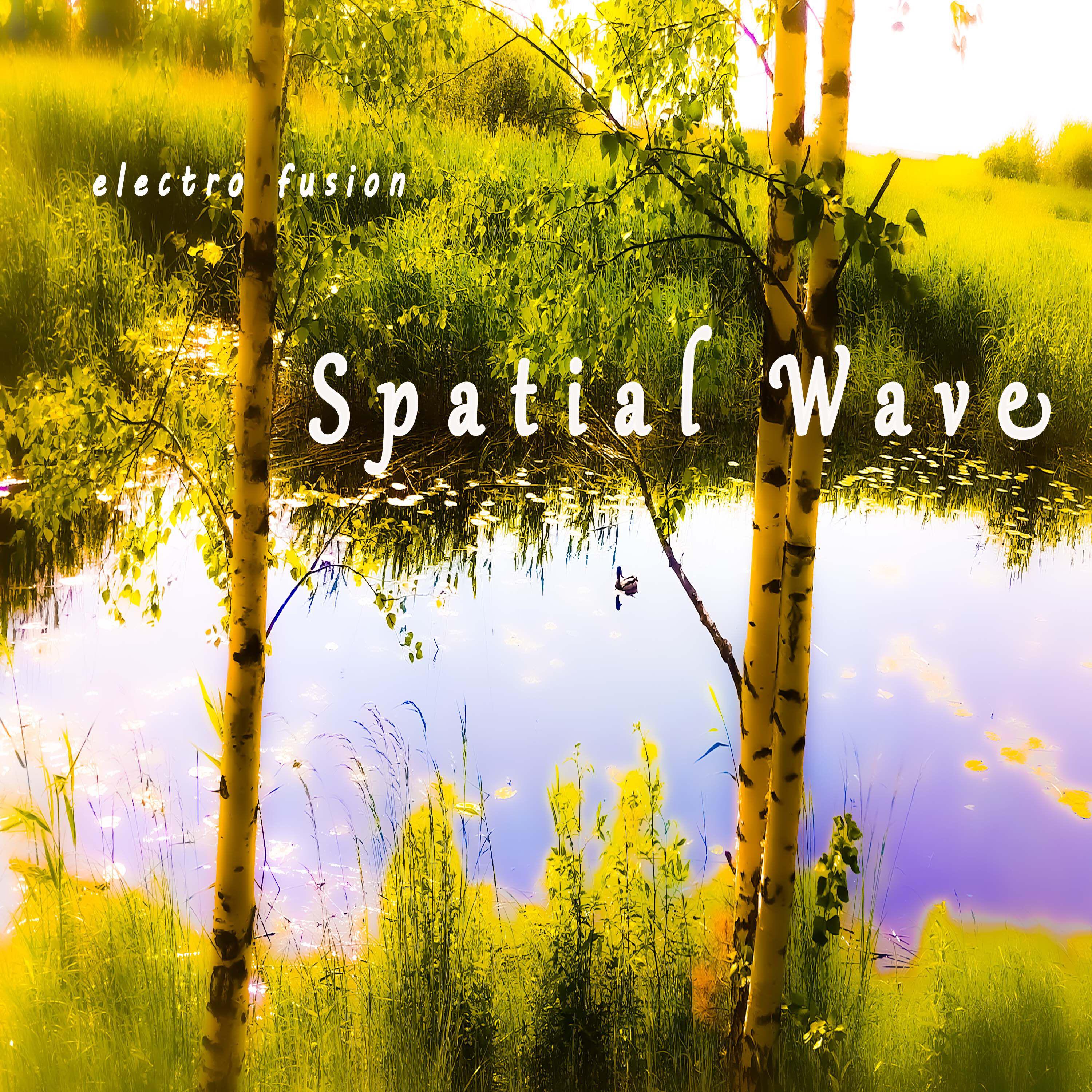 Постер альбома Spatial Wave