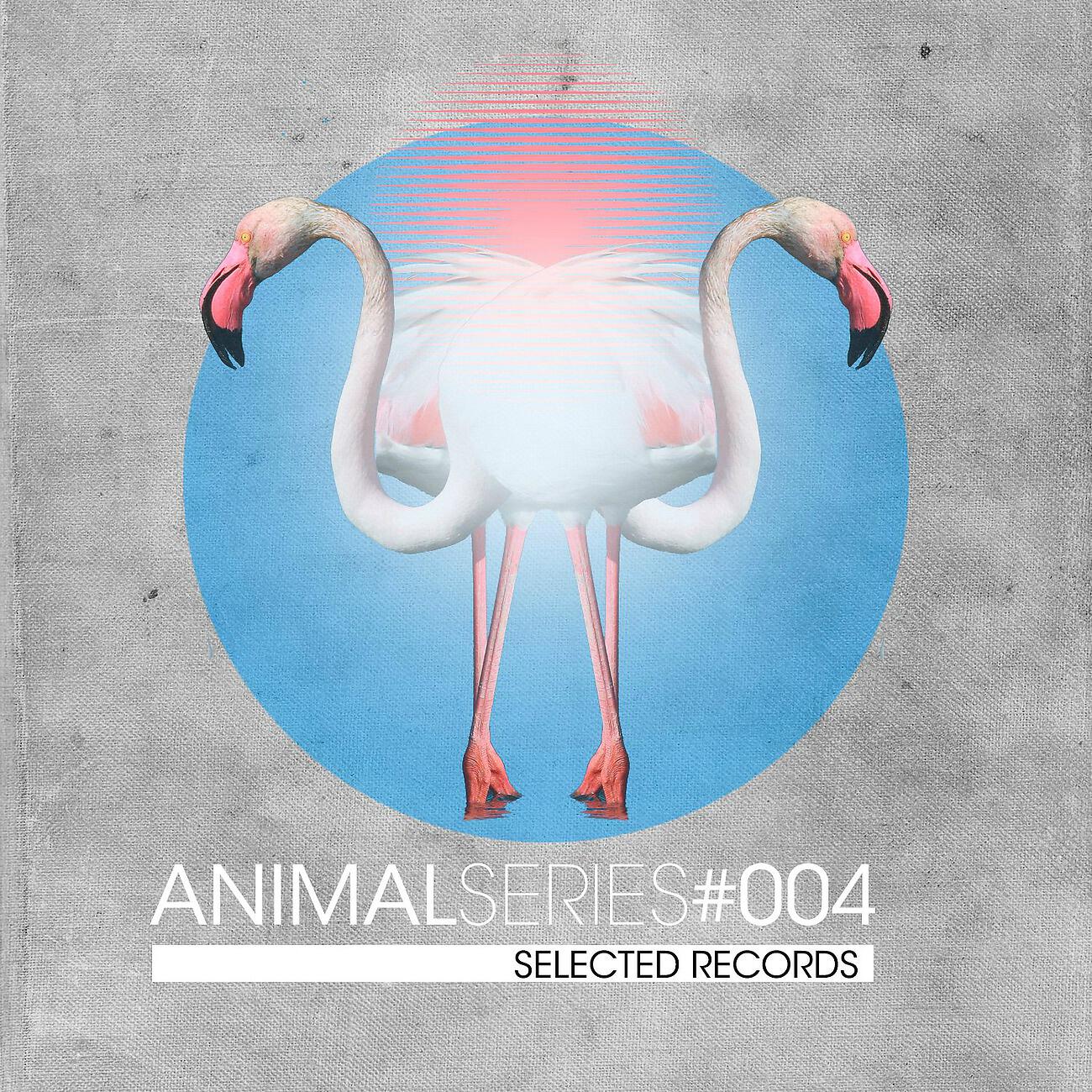 Постер альбома STD 104 - Animal Series Vol. 4