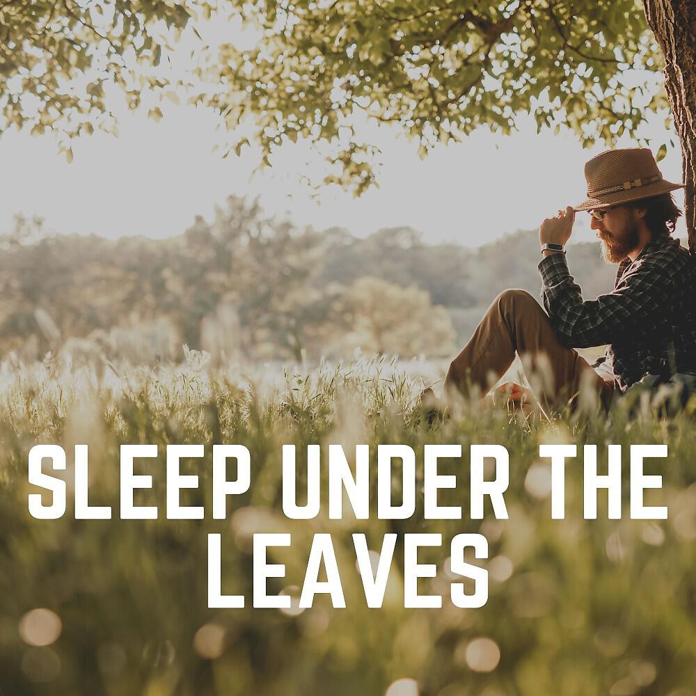 Релиз Sleep Under the Leaves